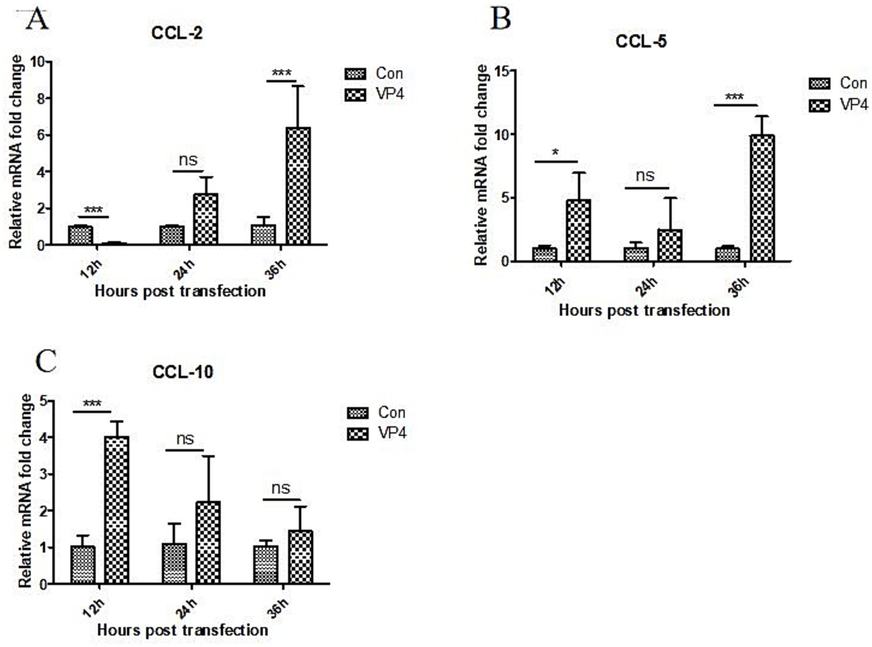 Bar graphs depict the time-dependent fold changes in mRNA levels of CCL-2 (A), CCL-5 (B), and CCL-10 (C) at 12, 24, and 36 hours post-transfection. Comparing the VP4 group to the control (Con), VP4 significantly upregulated CCL-2 at 36 hours (*), CCL-5 at 12 (*) and 36 hours (*), and CCL-10 at 12 hours (***). “*” represented statistically significant (p < 0.05); “***” represented extremely significant (p < 0.001); “ns” denotes no significant difference.