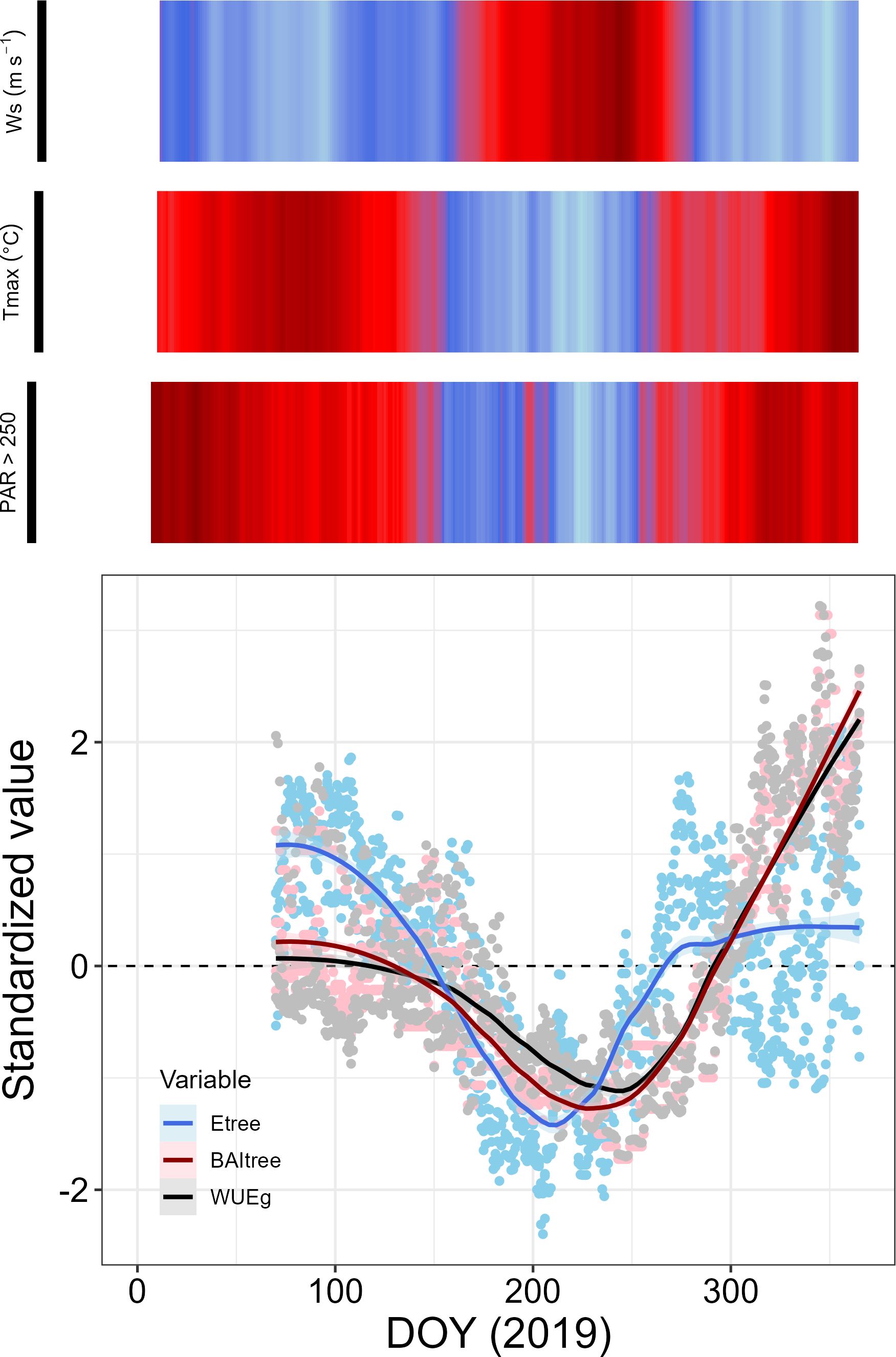 Heatmaps and a scatter plot depict environmental data from 2019. Heatmaps represent wind speed, maximum temperature, and photosynthetically active radiation (PAR) higher than 250 micromoles per square meter per second. The scatter plot below shows standardized values of three variables: Etree (blue), BAItree (red), and WUEg (grey/black) over the day of the year (DOY). Colored lines indicate trends for each variable.