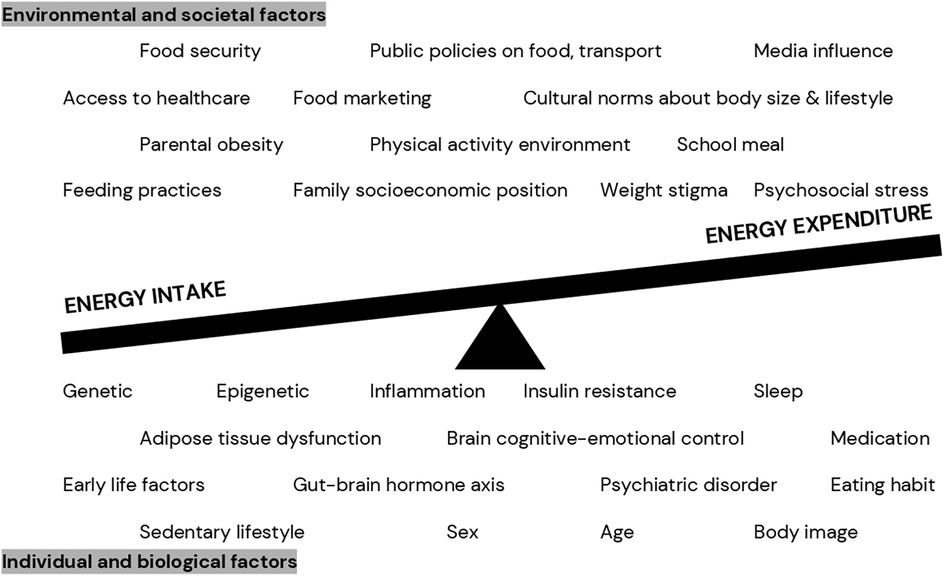Diagram of a seesaw with energy intake on the elevated side and energy expenditure on the lower side. Above the seesaw, environmental and societal factors are listed: food security, healthcare access, parental obesity, feeding practices, public policies, food marketing, cultural norms, physical activity, school meals, socioeconomic position, weight stigma, and stress. Below the seesaw, individual and biological factors include genetics, epigenetics, inflammation, insulin resistance, sleep, tissue dysfunction, cognitive control, medication, early life factors, gut-brain axis, psychiatric disorders, eating habits, sedentary lifestyle, sex, age, and body image.