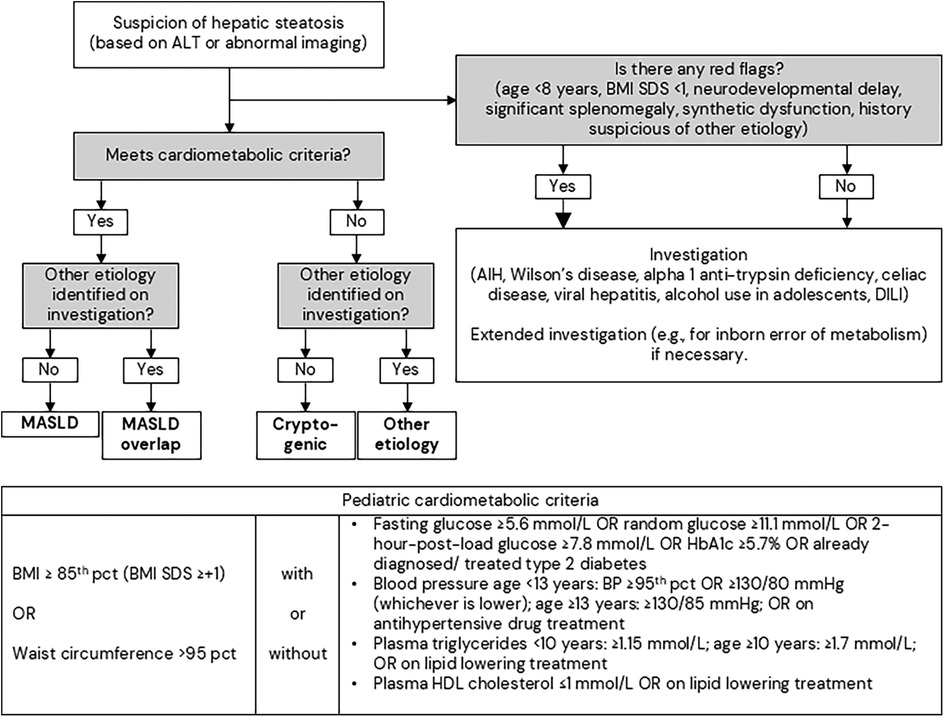 Flowchart for diagnosing hepatic steatosis starts with suspicion based on ALT or imaging. If cardiometabolic criteria are met, check for other etiologies to determine MASLD or overlap. If not, continue investigation for cryptogenic or other etiologies. Red flags like young age or significant symptoms prompt further investigation. Pediatric cardiometabolic criteria include criteria for BMI, glucose levels, blood pressure, triglycerides, and cholesterol levels.