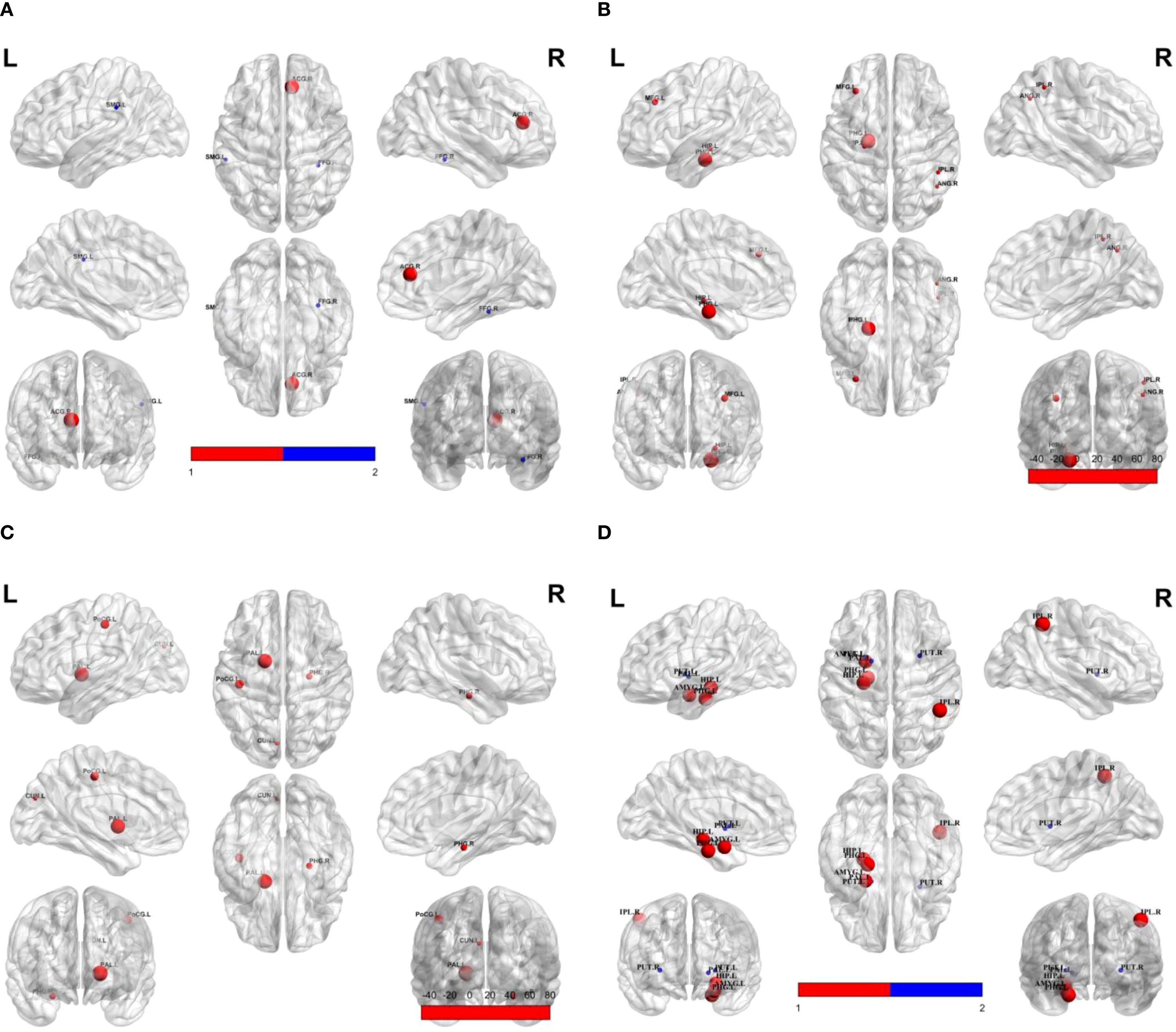 Four panels labeled A, B, C, and D show brain maps with highlighted regions in red and blue on 3D brain renderings. Each panel displays lateral and medial views for both left (L) and right (R) hemispheres. Red areas indicate activation regions, with accompanying color bars indicating intensity levels. Anatomical labels are noted near the highlighted regions.
