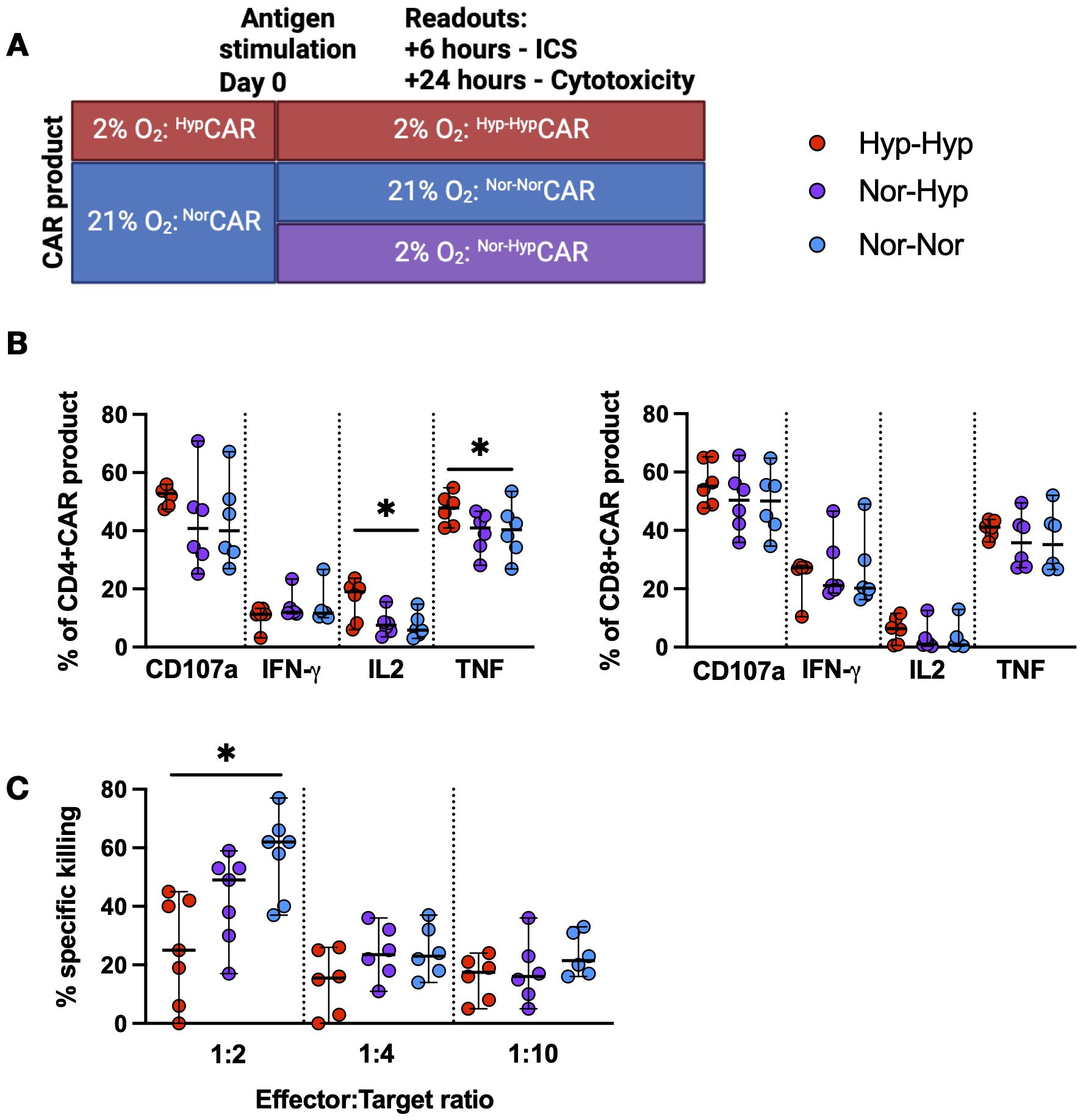 Panel A shows a legend with CAR product oxygen conditions: 2% O₂ HypCAR, 21% O₂ NorCAR, and 2% O₂ NorCAR 21% O2 – 21% O2 Nor-NorCAR, 21% O2 – 2% O2 Nor-HypCAR, and 2% O2 – 2% O2 Hyp-HypCAR. Panel B displays Scatter plot of CD4+ and CD8+ CAR product percentages for CD107a, IFN-γ, IL2, and TNF, with significant differences marked. Panel C presents a Scatter plot of specific killing percentages at effector:target ratios of 1:2, 1:4, and 1:10, showing a significant difference at the 1:2 ratio.