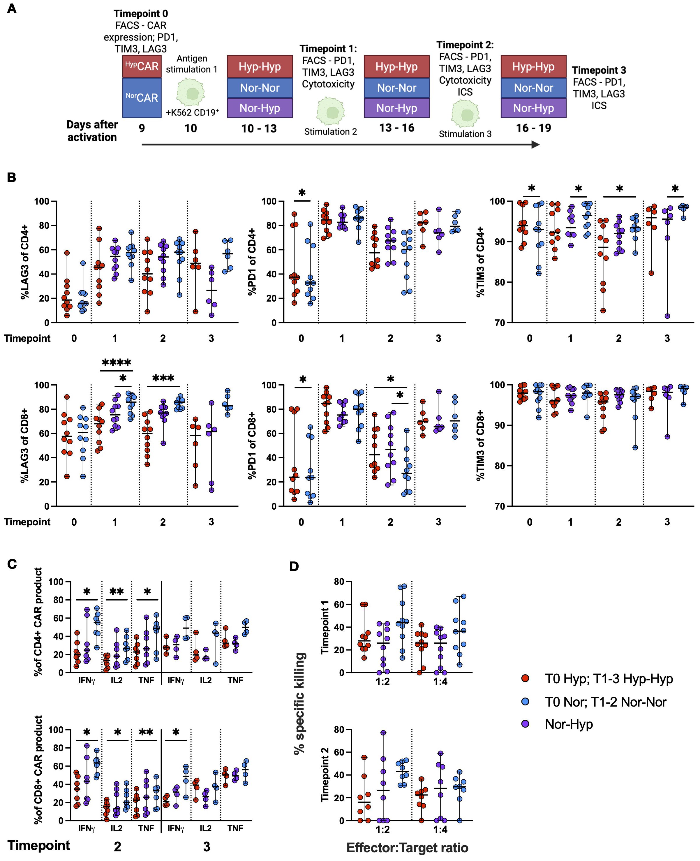 Panel A illustrates the timeline and experimental setup for antigen stimulation and analysis of CAR expression. Panel B shows the percentages of LAG3, PD1, and TIM3 expression on CD4+ and CD8+ T cells across four timepoints, with significant differences marked by asterisks. Panel C displays cytokine production (IFNγ, IL2, TNF) in CD4+ and CD8+ CAR products at specified timepoints, also with significant differences indicated. Panel D provides graphs of specific killing percentages at different effector-to-target ratios and timepoints, with data differentiated by color-coded conditions.
