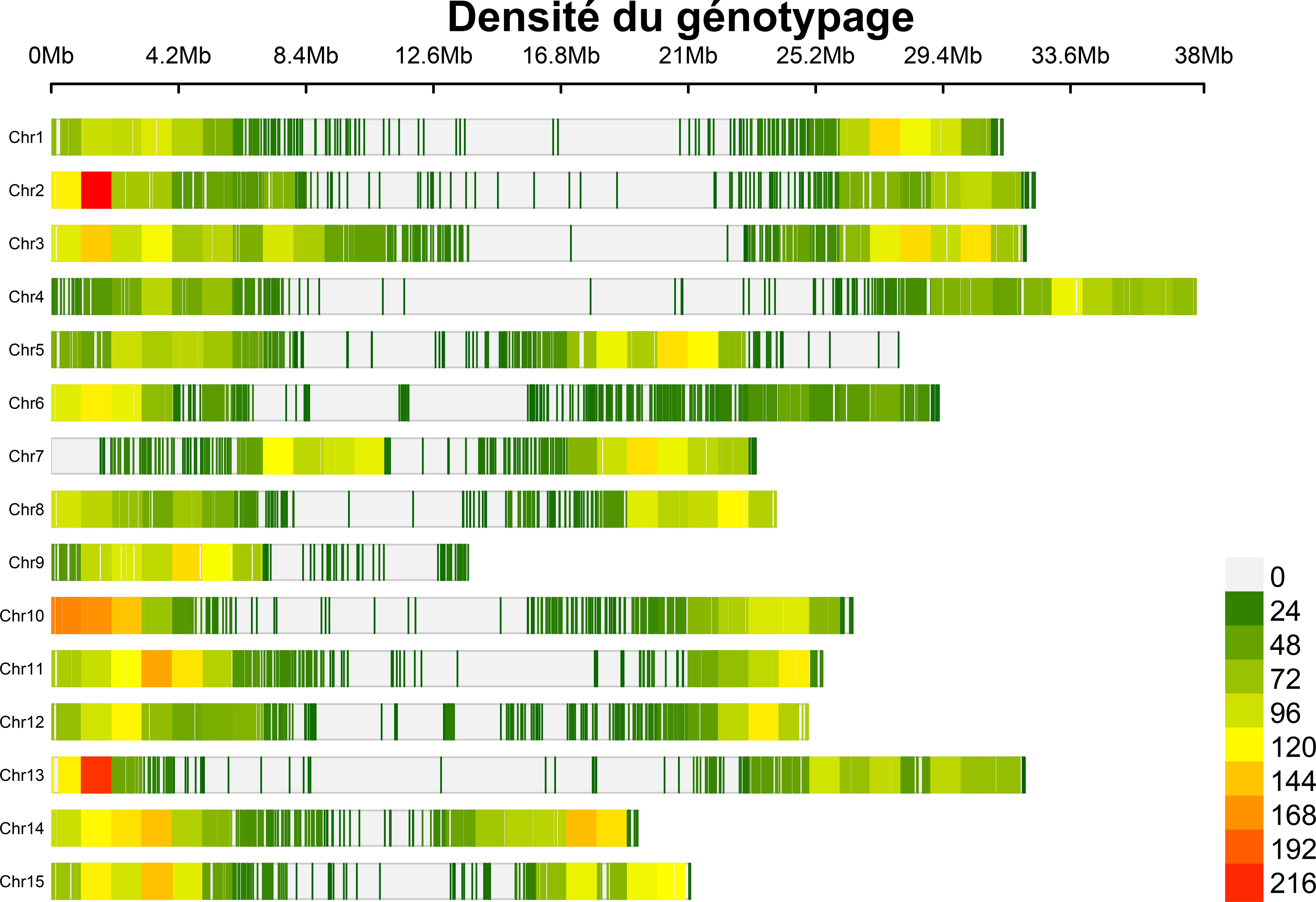 Chromosome heatmap visualizing gene expression levels across Chromosomes 1 to 15. Colors range from gray to red, with gray indicating low expression and red indicating high expression. Scale bar on the right provides numerical values for color intensity from zero to two hundred sixteen.