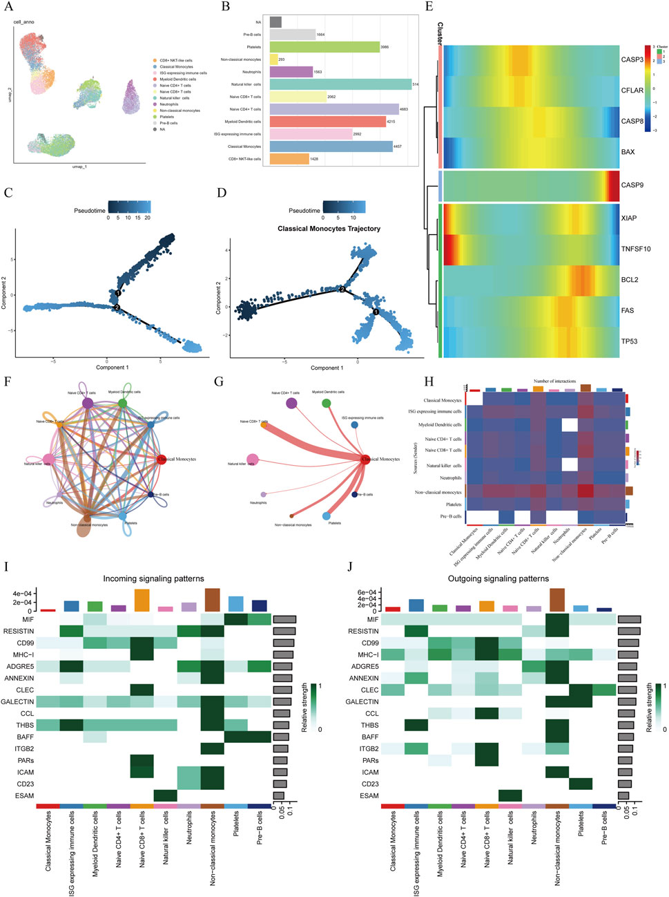 A collection of ten scientific data visualizations involving cellular analysis: (A) UMAP plot showing cell clusters. (B) Bar chart detailing cell type proportions. (C-D) Trajectory analysis plots with pseudotime coloring. (E) Heatmap of gene expression across clusters. (F) Network diagram of cell signaling interactions. (G) Focused network of classical monocyte interactions. (H) Heatmap of signaling transactions among cell types. (I-J) Bar graphs of incoming and outgoing signaling patterns, showing relative strengths among various proteins and cell types. Each visualization includes distinct color coding and labeling for clarity.