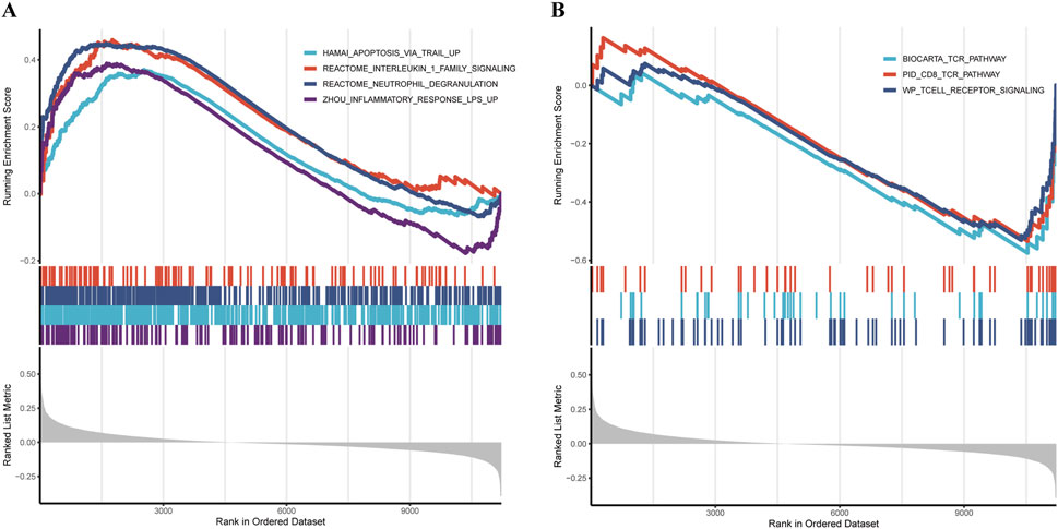 Two charts labeled A and B show gene set enrichment analysis results using running enrichment scores. Chart A displays four pathways: HAMA1_APOPTOSIS_VIA_TRAIL_UP, REACTOME_INTERLEUKIN_1_FAMILY_SIGNALING, REACTOME_NEUTROPHIL_DEGRANULATION, and ZHOU_INFLAMMATORY_RESPONSE_LPS_UP. Chart B includes BIOCARTA_TCR_PATHWAY, PID_CD8_TCR_PATHWAY, and WP_TCELL_RECEPTOR_SIGNALING. Each chart has horizontal line markers below the curves, indicating specific gene sets, and gray areas show ranked list metrics.