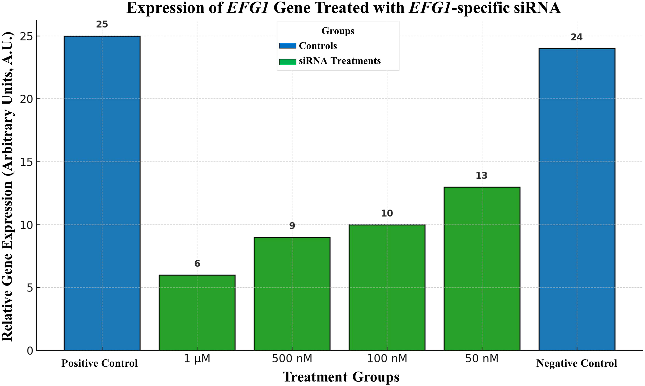Bar graph illustrating the expression of EFG1 gene treated with EFG1-specific siRNA. Control groups (blue) show higher expression levels at 25 and 24 units. siRNA treatments (green) at 1 µM, 500 nM, 100 nM, and 50 nM show decreasing expression levels of 6, 9, 10, and 13 units respectively.