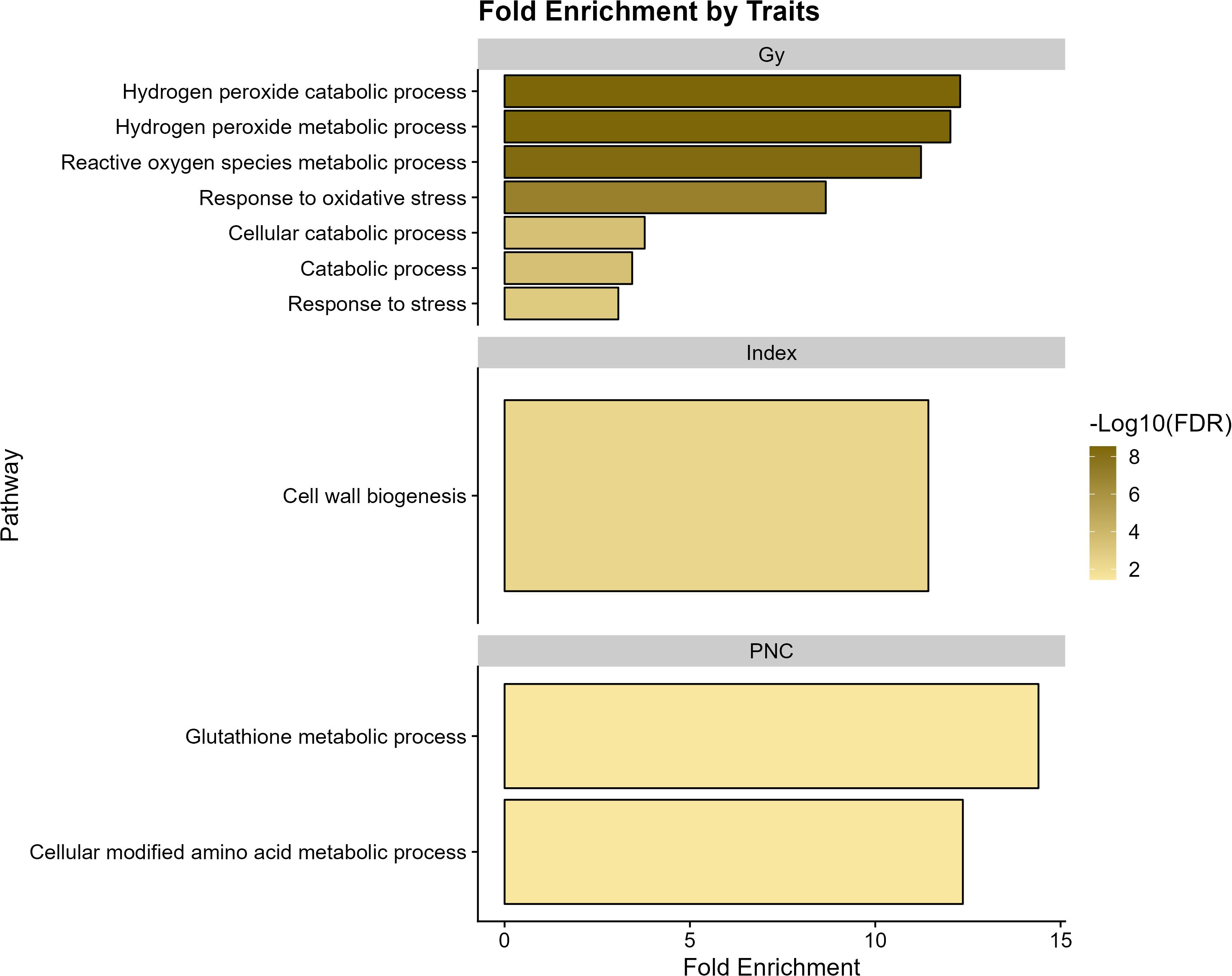 Bar chart titled “Fold Enrichment by Traits” with three sections: Gy, Index, and PNC. Gy includes various processes like hydrogen peroxide catabolic. Index highlights cell wall biogenesis. PNC shows glutathione metabolic processes. A gradient legend indicates -Log10(FDR) values from 2 to 8. Each pathway's fold enrichment is depicted by bar length.