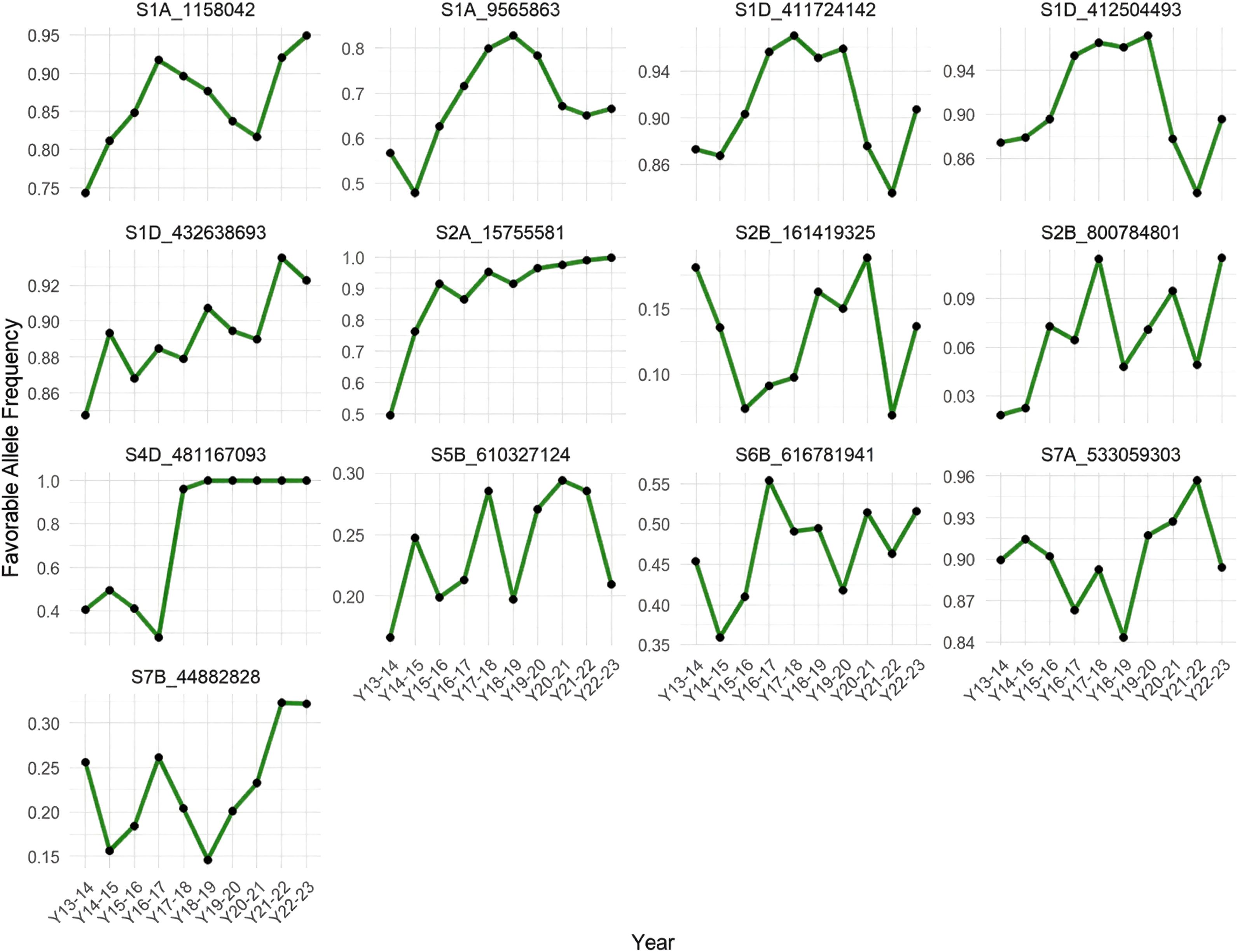 Line graphs showing the favorable allele frequency over various years for different genetic markers labeled S1A_1158042, S1A_9565863, S1D_411724142, S1D_412504493, S1D_432638693, S2A_15755581, S2B_161419325, S2B_800784801, S4D_481167093, S5B_610327124, S6B_616781941, S7A_533059303, and S7B_448282828. Each graph depicts fluctuating allele frequencies over time.
