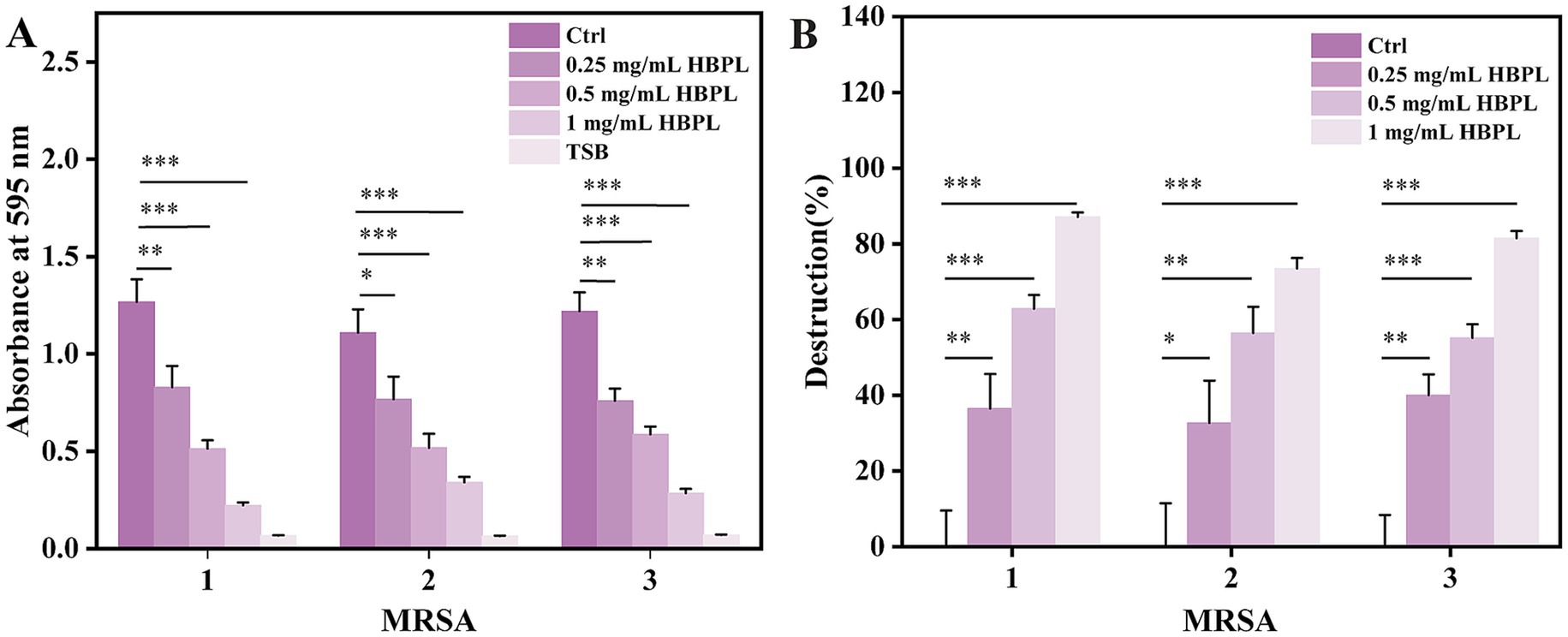 Bar graphs A and B illustrate the effects of different HBPL concentrations on MRSA. Graph A shows absorbance at 595 nm, and graph B shows percentage destruction. Each graph compares control, 0.25 mg/mL, 0.5 mg/mL, and 1 mg/mL HBPL treatments. Statistical significance is indicated by asterisks, with one, two, and three asterisks denoting increasing significance levels.
