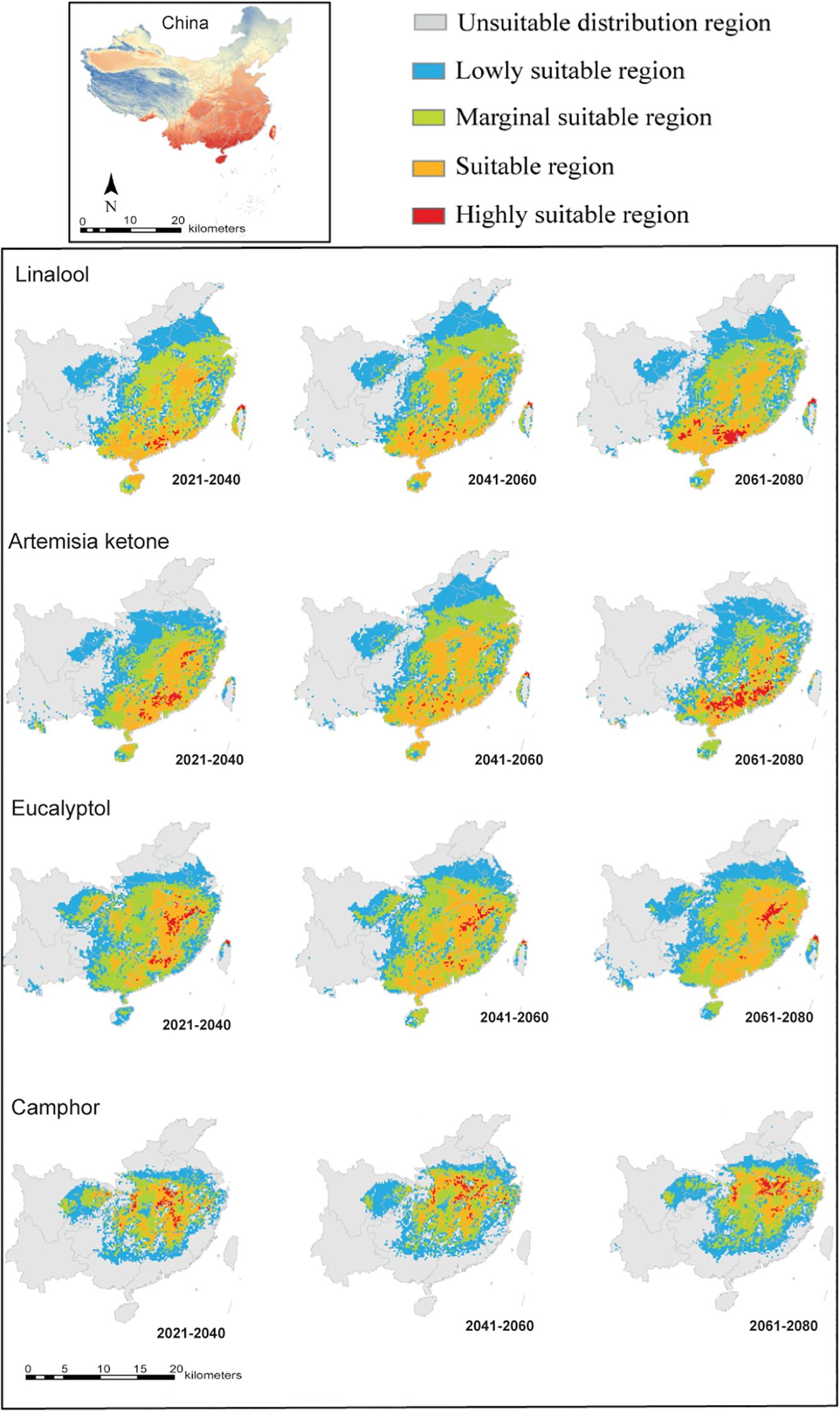 A series of maps showing the distribution suitability of four compounds—Linalool, Artemisía ketone, Eucalyptol, and Camphor—in China over three future periods: 2021-2040, 2041-2060, and 2061-2080. Colors indicate suitability levels: grey for unsuitable, blue for low, green for marginal, yellow for suitable, and red for highly suitable regions. Each row represents a compound, with maps depicting changes over time.