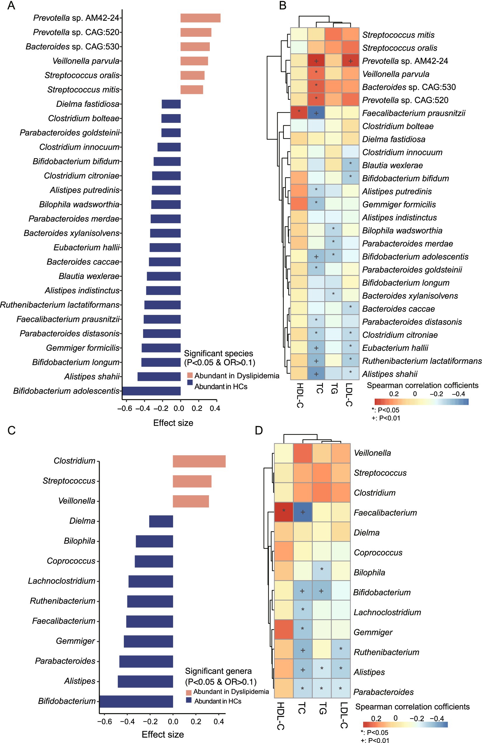 Bar charts (A and C) and heatmaps (B and D) showing microbiome data. Charts depict effect sizes of microbial species and genera, with colors indicating abundance in dyslipidemia versus healthy controls. Heatmaps display correlations between microbial presence and lipid profiles, with red and blue color gradients indicating correlation strength. Significance levels are marked with symbols.