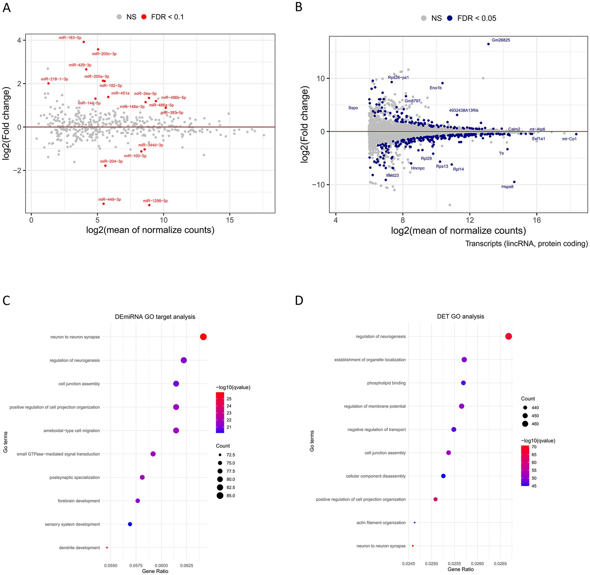 Panel A displays a scatter plot of normalized counts versus log2 fold change with significant microRNAs highlighted in red. Panel B shows a similar plot for transcripts with significant points in blue. Panel C presents a dot plot for DEmiRNA GO target analysis, illustrating the gene ontology terms, gene ratios, and significance levels. Panel D provides a dot plot for DET GO analysis, indicating various GO terms and their significance.