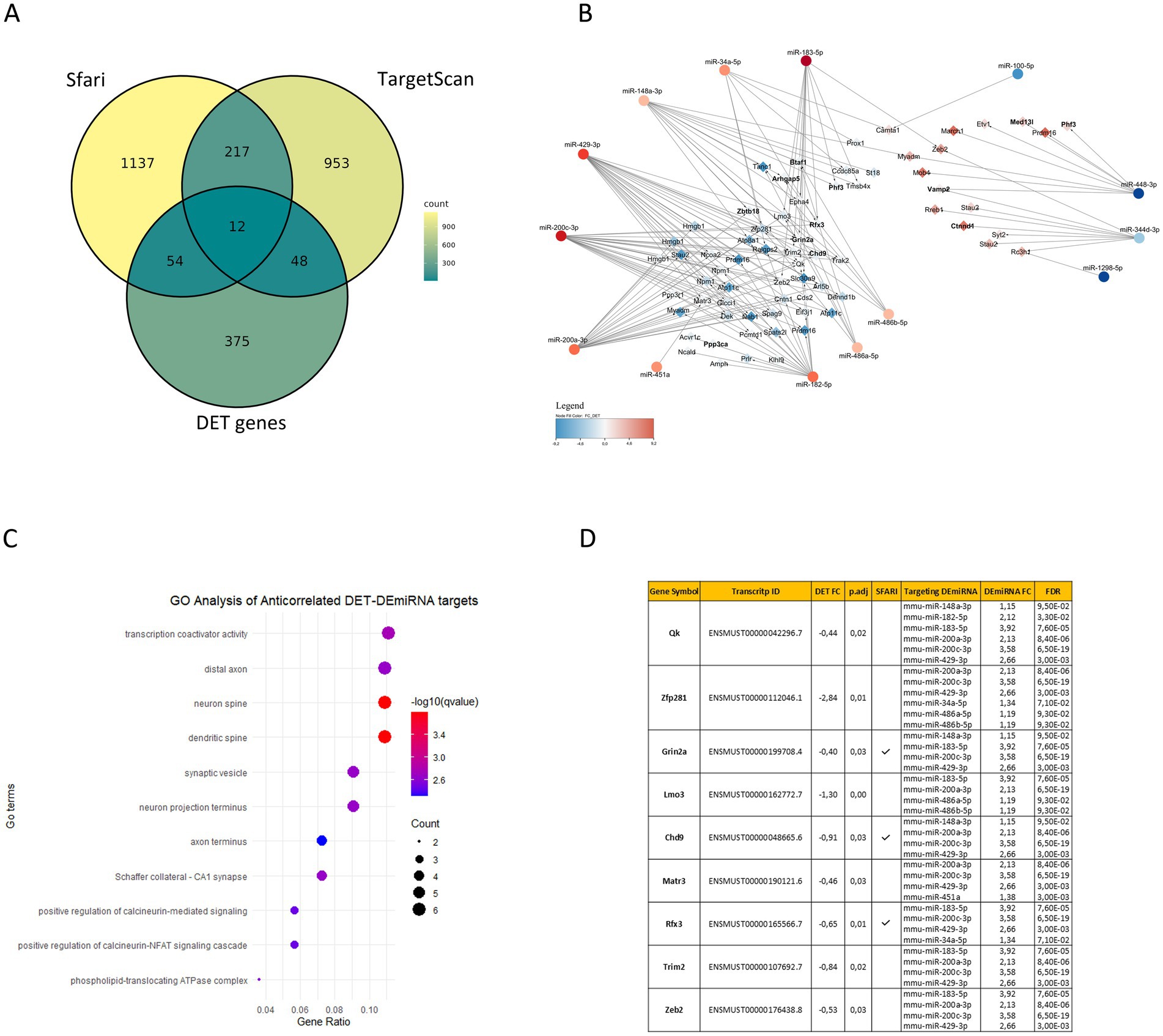 Panel A shows a Venn diagram with three circles representing Sfari, TargetScan, and DET genes, highlighting overlapping gene counts in shades of green. Panel B presents a network diagram connecting various miRNAs and genes, color-coded by intensity. Panel C features a dot plot of GO analysis for anticorrelated targets, with gene ratios and significance levels shown as colored dots. Panel D displays a table listing gene symbols, transcript IDs, associated metrics, and targeting miRNAs in a structured format.