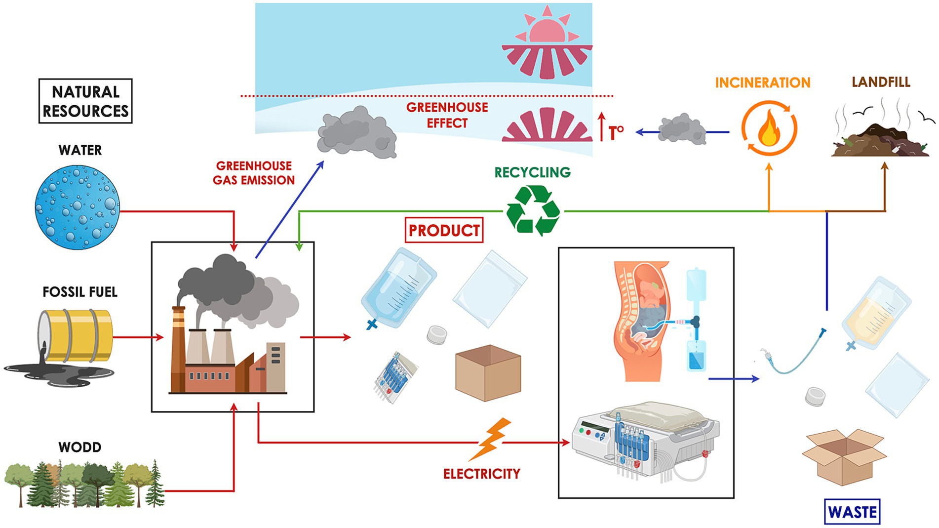 Flowchart illustrating the lifecycle of medical product use and its environmental impact. Natural resources like water, fossil fuels, and wood supply raw materials. Factories produce medical products, releasing greenhouse gases that contribute to the greenhouse effect and temperature rise. Products are used in medical procedures, generating waste. Waste is either incinerated, emitting pollutants, or sent to landfill. Some materials are recycled. Arrows indicate the flow of resources, energy, and waste through the system.