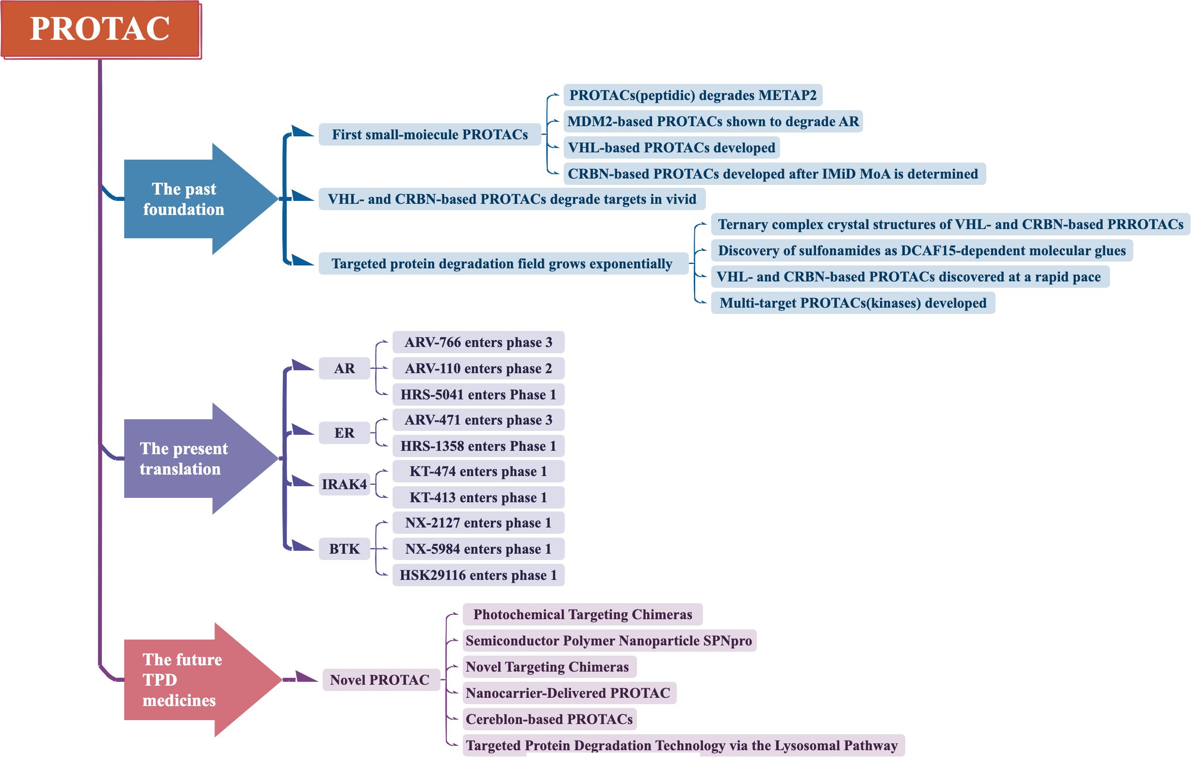 Flowchart depicting the development of PROTACs. It shows three stages: “The past foundation” detailing initial discoveries and developments like the first small-molecule PROTACs and CRBN-based PROTACs. “The present translation” lists compounds in various phases of clinical trials corresponding to targets AR, ER, IRAK4, and BTK. “The future TPD medicines” highlights novel developments, including various targeting chimeras and technologies such as nanocarrier-delivered PROTACs and cereblon-based PROTACs.