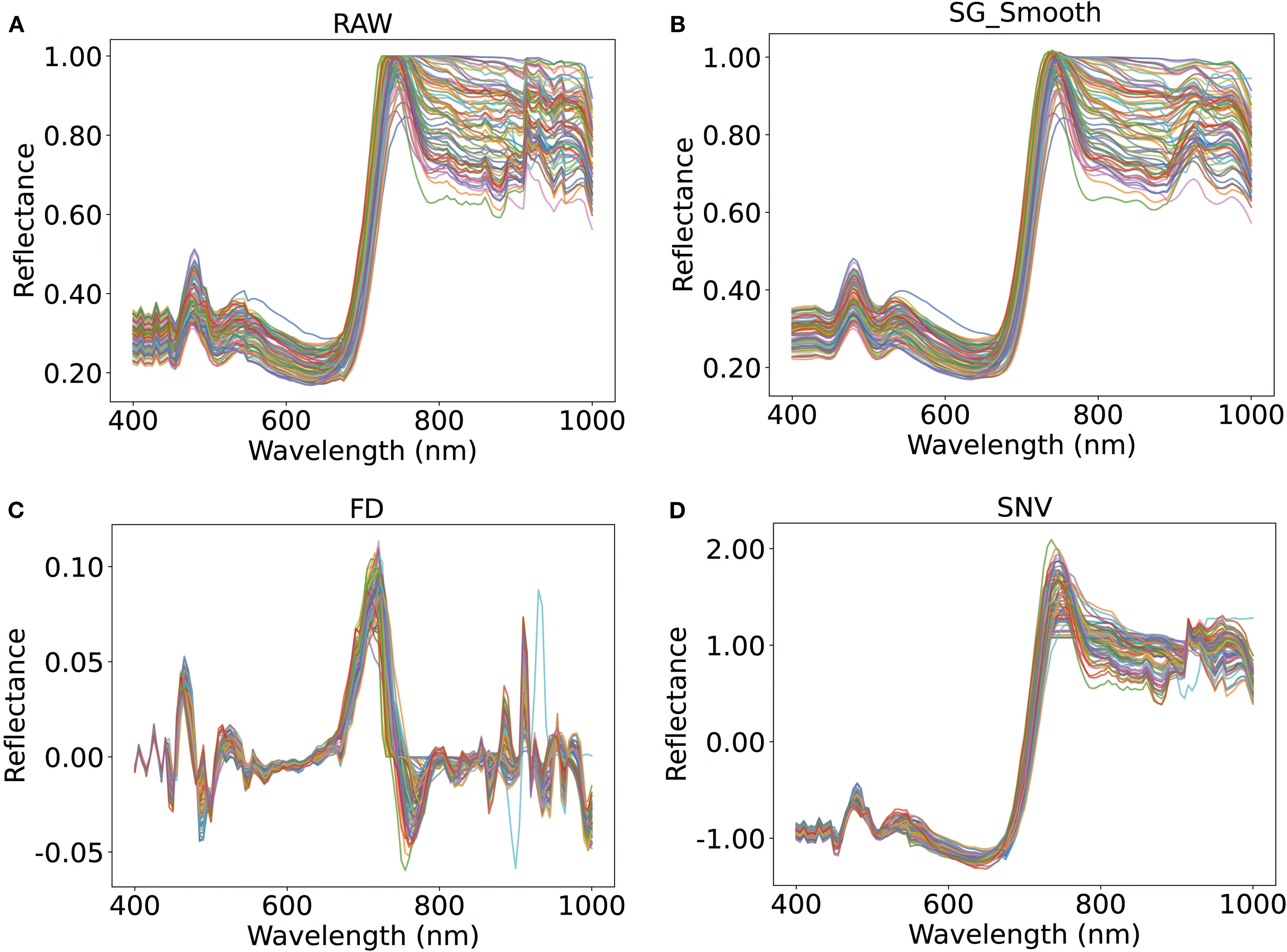 Four graphs show spectral data with variations in reflectance from 400 to 1000 nanometers. Graph A (RAW) and B (SG_Smooth) display similar patterns, with a steep rise around 750 nanometers. Graph C (FD) shows a differentiated pattern with peaks and troughs. Graph D (SNV) resembles the RAW data, but normalized. Each graph contains multiple overlaid lines in various colors.