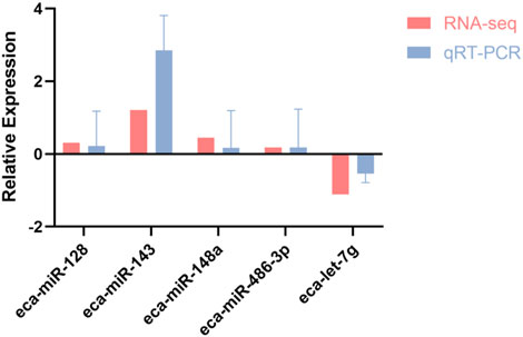 Bar chart comparing relative expression levels of five miRNAs using RNA-seq (red) and qRT-PCR (blue). Expression values vary, with eca-miR-143 showing a significant positive expression in qRT-PCR and eca-let-7g showing negative expression in both methods. Error bars indicate variation.