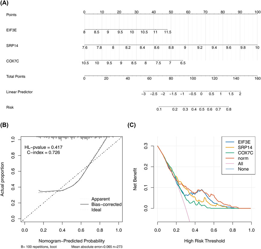 (A) A nomogram depicting points assigned to three factors: EIF3E, SRP14, and COX7C, with corresponding risk prediction. (B) Calibration curve showing the agreement between predicted and actual probabilities with metrics HL-pvalue and C-index. (C) Decision curve analysis displaying net benefit across different high-risk thresholds for various models.