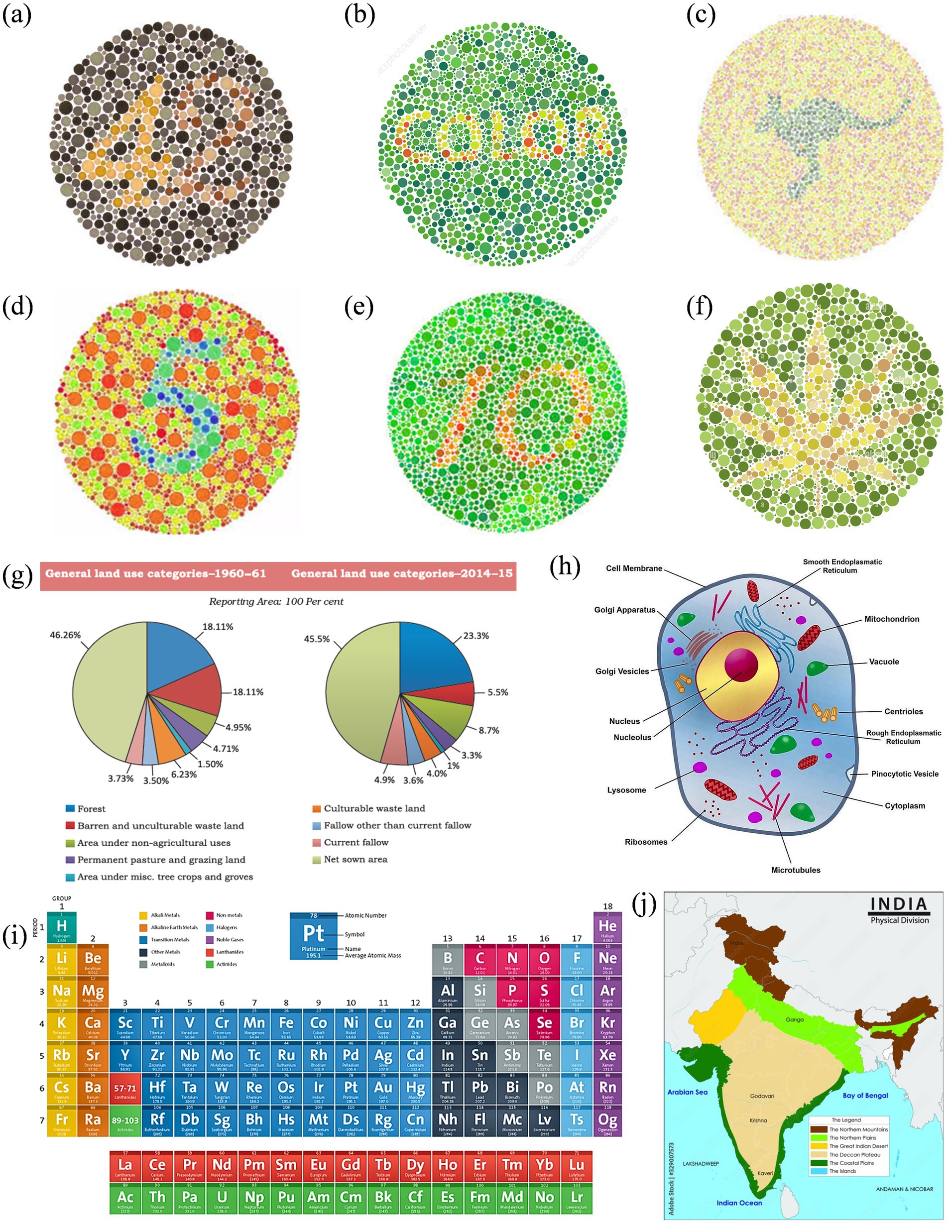 Series of visual representations including six Ishihara color test circles displaying numbers and shapes, two pie charts depicting land use categories for 1960-61 and 2014-15, a diagram of an animal cell with labels for its components, the periodic table of elements with color codes, and a physical map of India highlighting different regions and bodies of water.