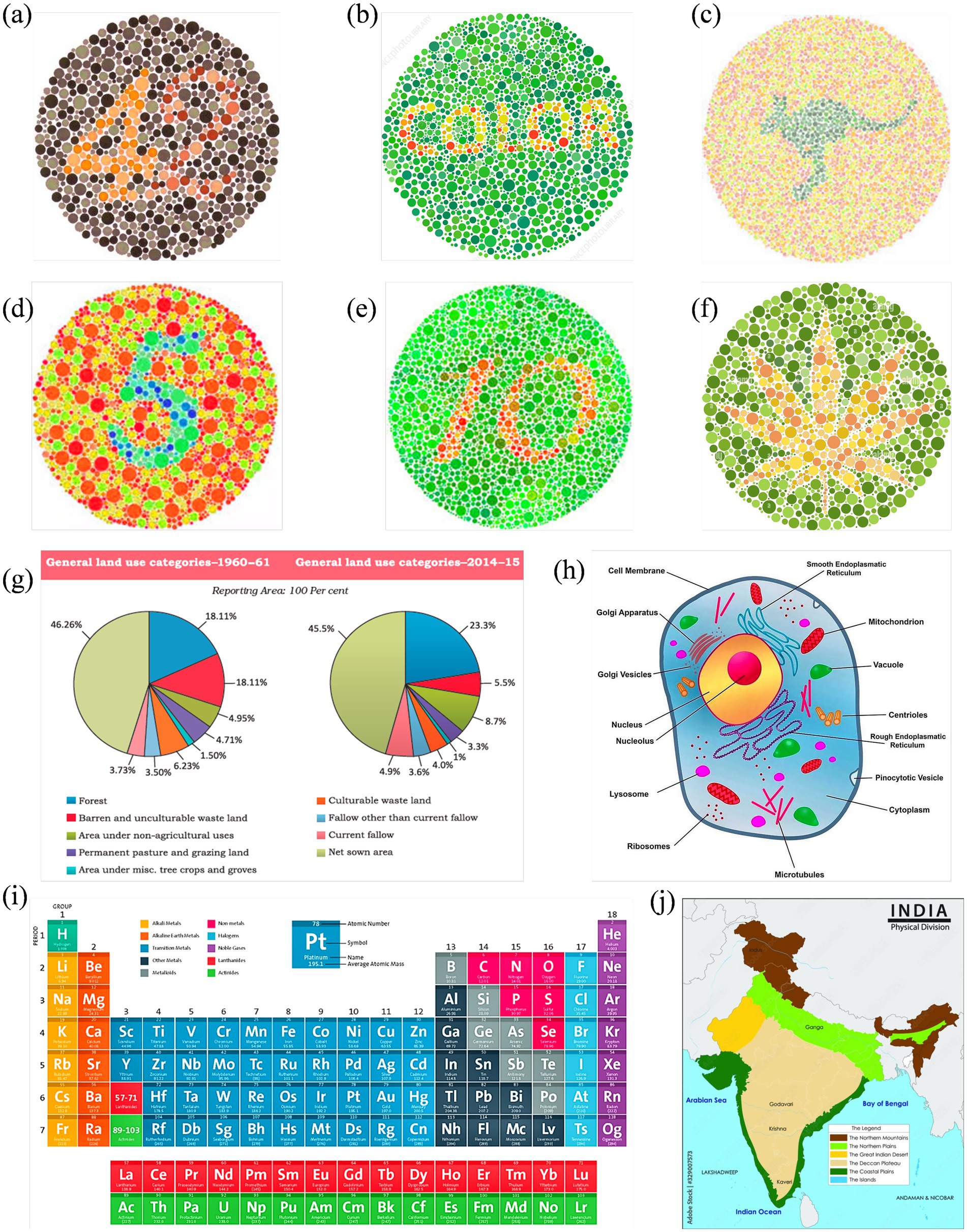 (a) Ishihara test with the number