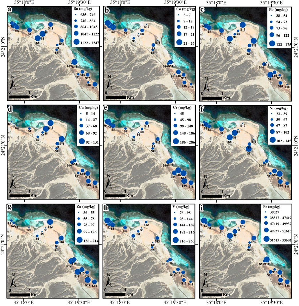 Nine maps displaying the distribution of different metal concentrations in a coastal region, marked with labeled sample points S1 to S18. Each map corresponds to a specific metal: barium (Ba), cobalt (Co), lead (Pb), copper (Cu), chromium (Cr), nickel (Ni), zinc (Zn), vanadium (V), and iron (Fe). Circles of varying sizes represent concentration ranges, with larger circles indicating higher concentrations. A consistent scale bar and coordinate grid are shown, and each map includes a legend specifying concentration ranges in milligrams per kilogram.