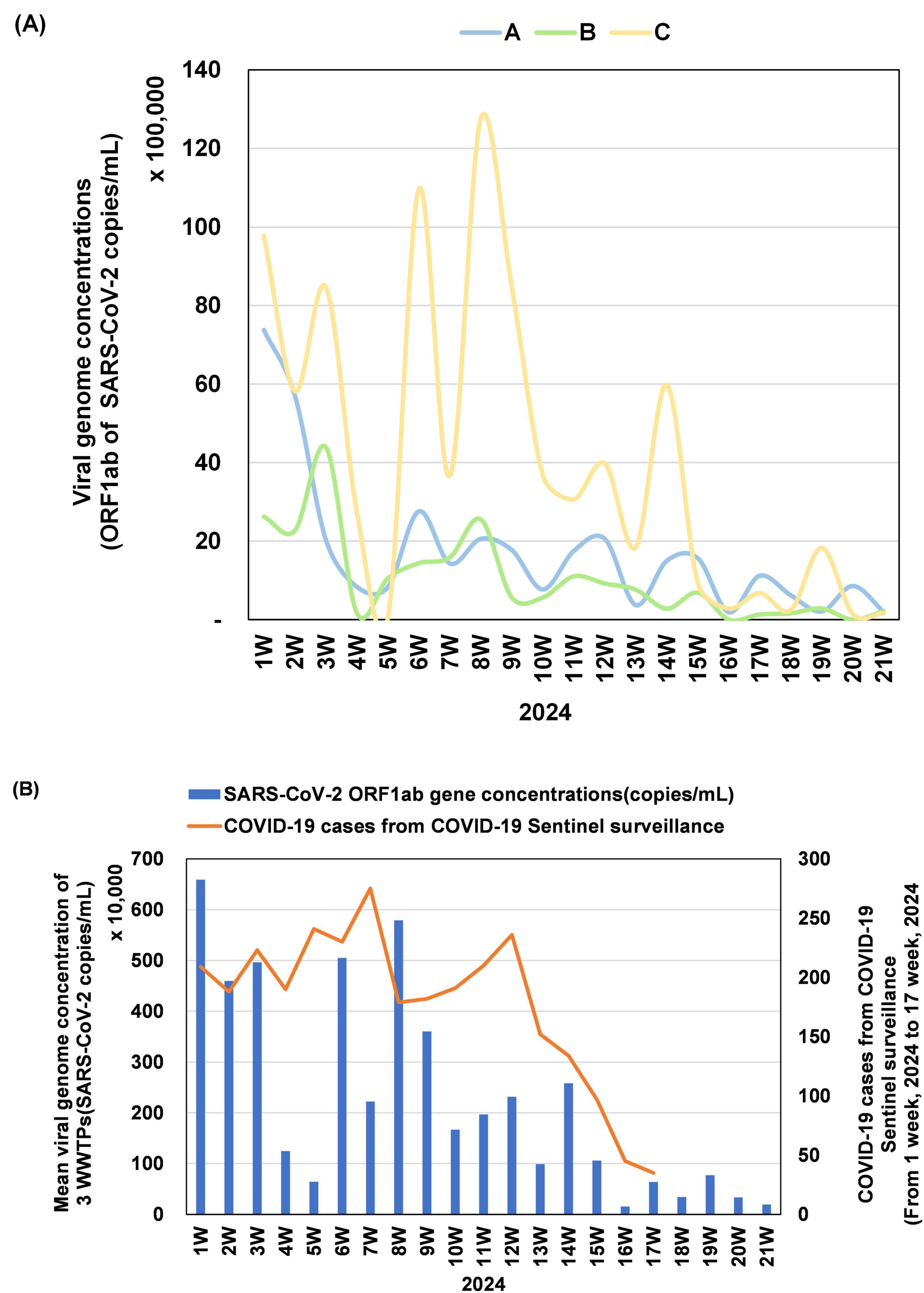 Chart (A) shows viral genome concentrations of SARS-CoV-2 in three lines: A (blue), B (green), and C (yellow), with varying levels from 1W to 21W in 2024. Chart (B) displays SARS-CoV-2 gene concentrations (blue bars) and COVID-19 cases from surveillance (orange line) over the same weeks. Both charts illustrate trends in virus presence and case numbers across 2024 weeks.