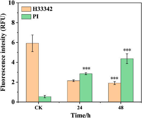 Bar chart showing fluorescence intensity (RFU) over time in hours (CK, 24, 48) for H33342 and PI. H33342 has higher intensity at CK, while PI increases over time, peaking at 48 hours. Error bars indicated, with significant differences marked by asterisks.