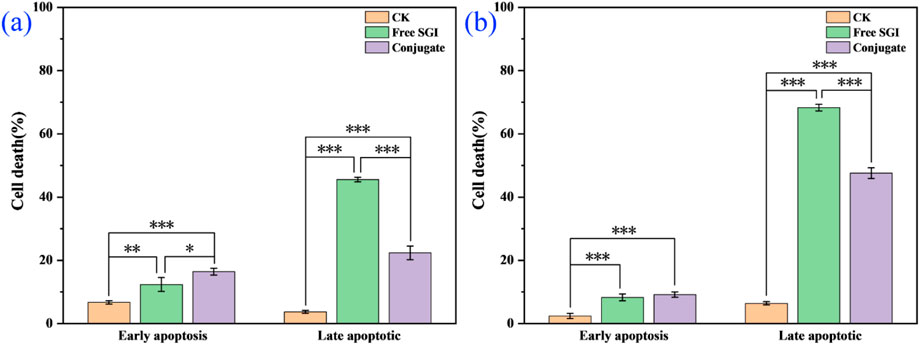 Bar graphs (a) and (b) compare cell death percentages across early and late apoptosis stages for CK, Free SGI, and Conjugate treatments. Free SGI shows significantly higher late apoptotic cell death, marked with asterisks indicating levels of statistical significance. CK displays the lowest percentages in both graphs.