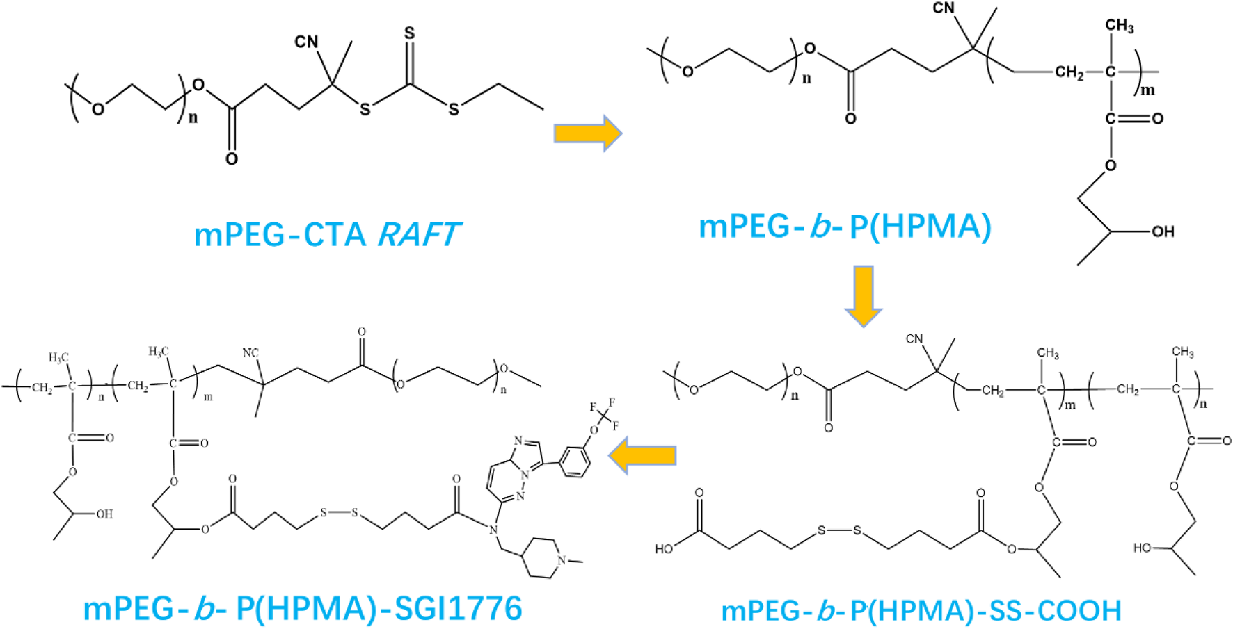 Chemical structures illustrate the synthesis pathway of polymers mPEG-CTA RAFT, mPEG-b-P(HPMA), mPEG-b-P(HPMA)-SGI1776, and mPEG-b-P(HPMA)-SS-COOH. Arrows indicate the transformation sequence between these compounds.