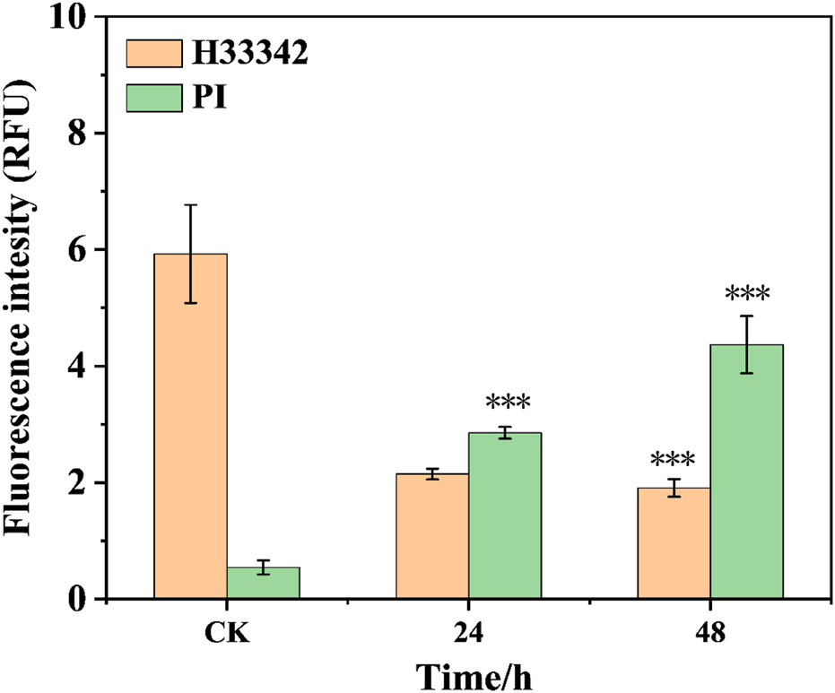 Bar chart showing fluorescence intensity (RFU) over time in hours (CK, 24, 48) for H33342 and PI. H33342 has higher intensity at CK, while PI increases over time, peaking at 48 hours. Error bars indicated, with significant differences marked by asterisks.