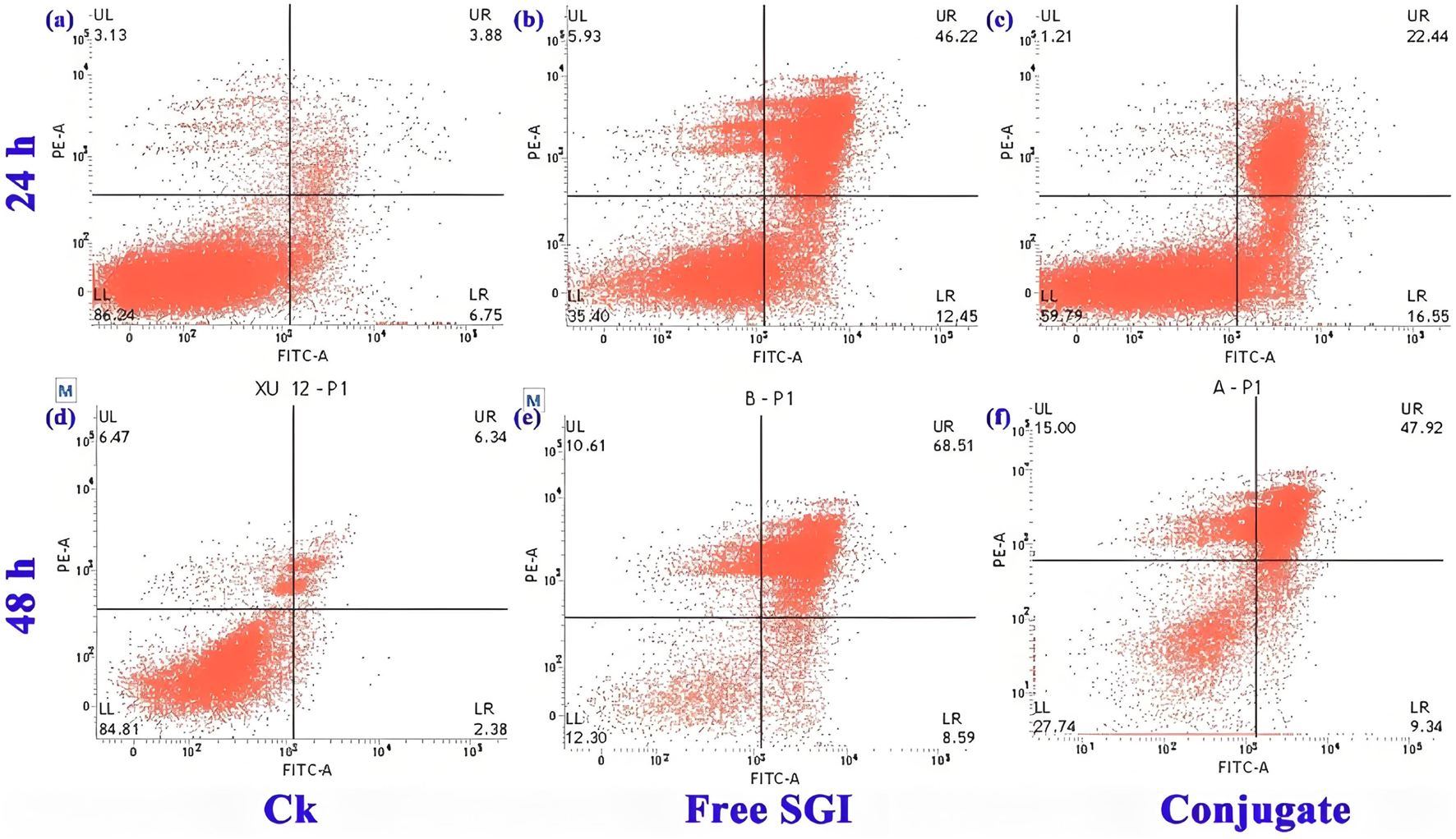 Flow cytometry dot plots show six graphs labeled (a) to (f) comparing cell populations at 24 and 48 hours with three treatments: "Ck," "Free SGI," and "Conjugate." Each graph displays FITC-A versus PE-A signal, with red dots indicating data points. The upper right quadrant of each plot shows varying percentages, illustrating shifts in cell populations under different conditions.