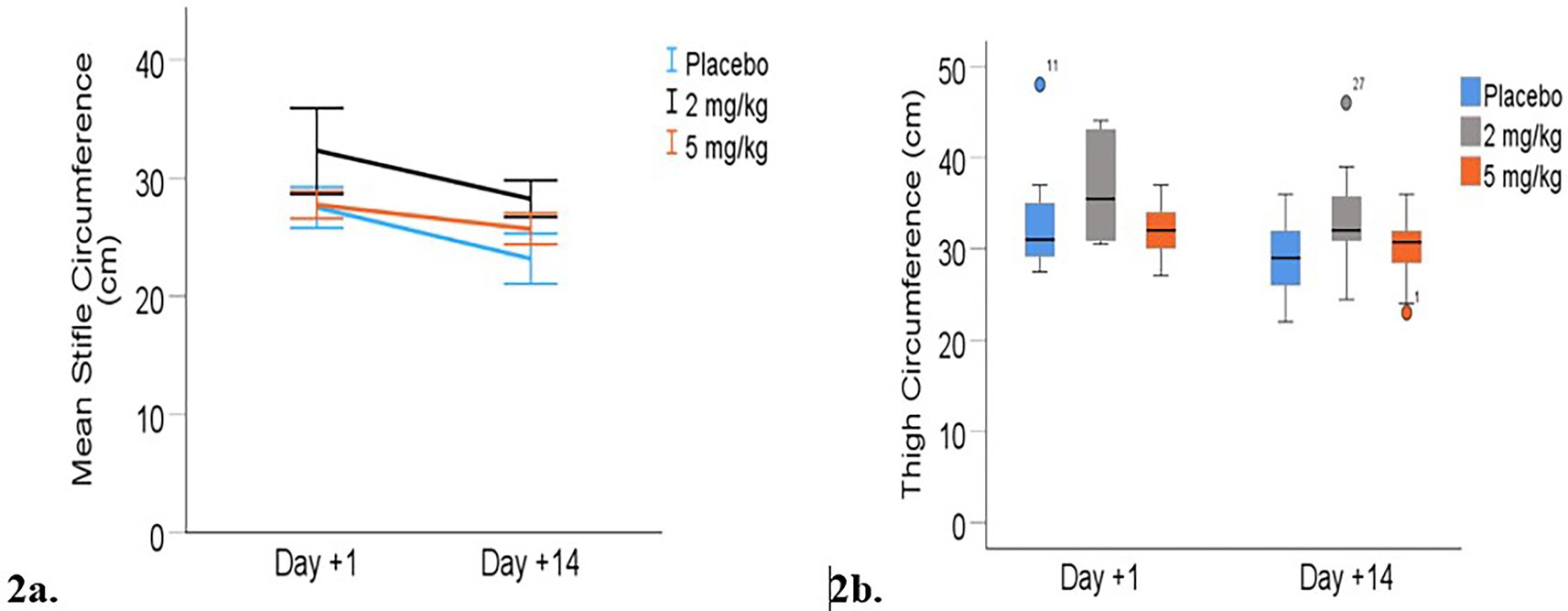 Graph 2a shows mean stifle circumference over two time points (Day +1 and Day +14) for three groups: placebo, 2 mg/kg, and 5 mg/kg, with a slight decrease in all groups. Graph 2b displays thigh circumference using box plots for the same groups and time points, with some variations but overall stable measurements. The legend identifies groups and dosages.