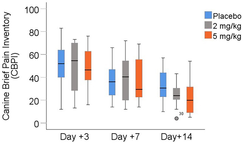 Box plot chart displaying the Canine Brief Pain Inventory (CBPI) scores on Day +3, Day +7, and Day +14 for three groups: placebo (blue), 2 mg/kg (gray), and 5 mg/kg (orange). Each box plot shows the median and variability of scores.