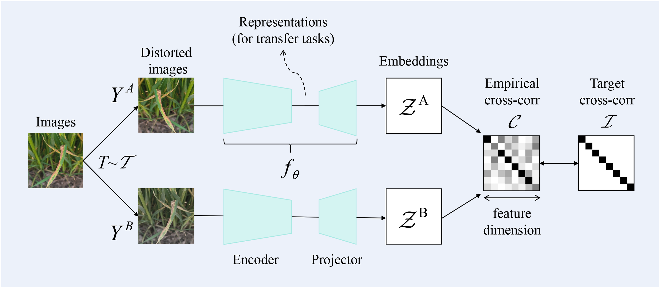 Diagram illustrating a process where images undergo transformation into distorted versions. An encoder and projector process these distorted images, creating embeddings \(Z^A\) and \(Z^B\). The empirical cross-correlation \(C\) is derived, compared to a target cross-correlation \(I\), showing a process of feature alignment for transfer tasks.