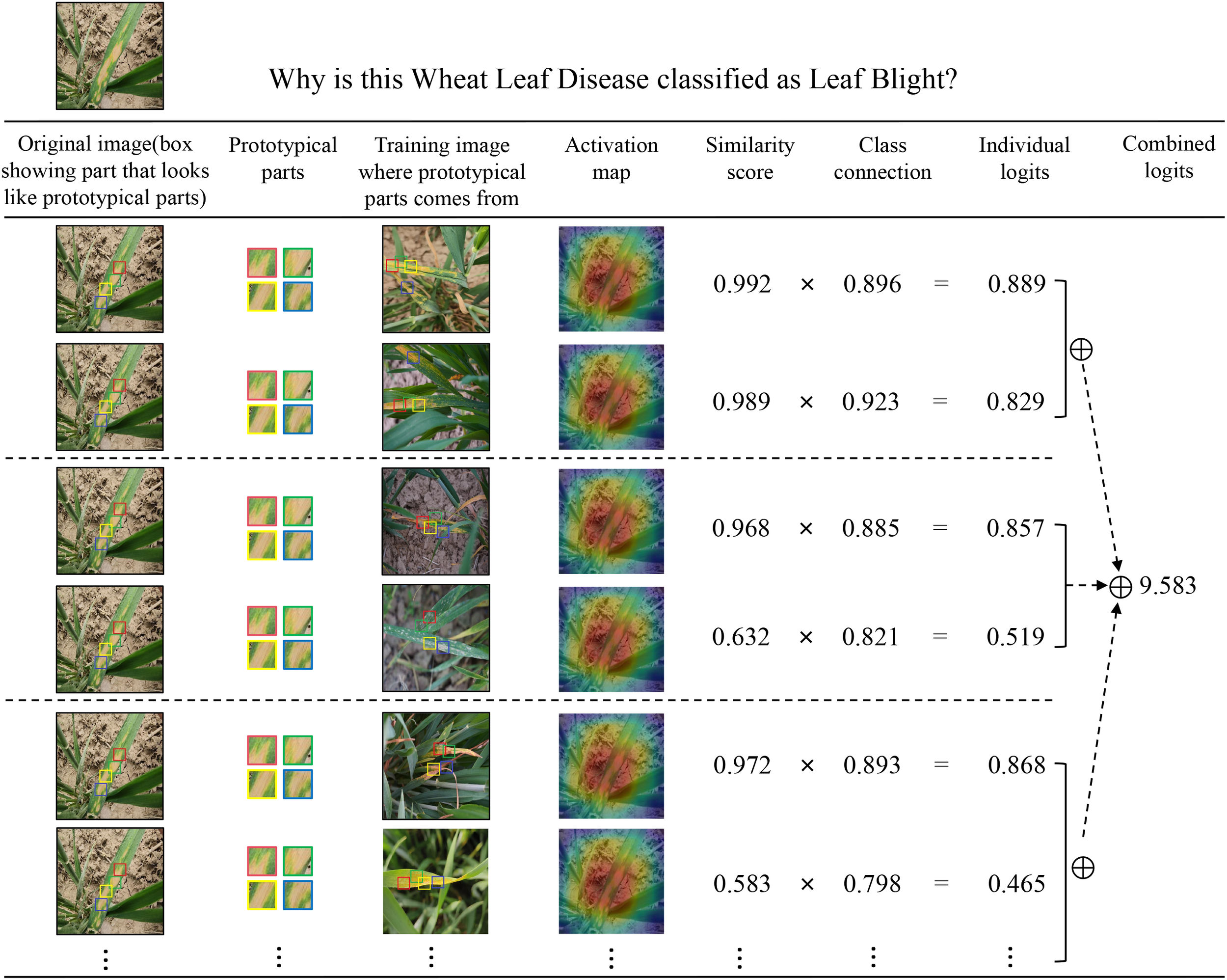 Chart analyzing why a wheat leaf disease is classified as Leaf Blight. It shows images of the original wheat leaf, prototypical parts, training images, and activation maps. Columns indicate similarity scores, class connections, and logits. Calculations show combined logits of 9.583 for disease classification.