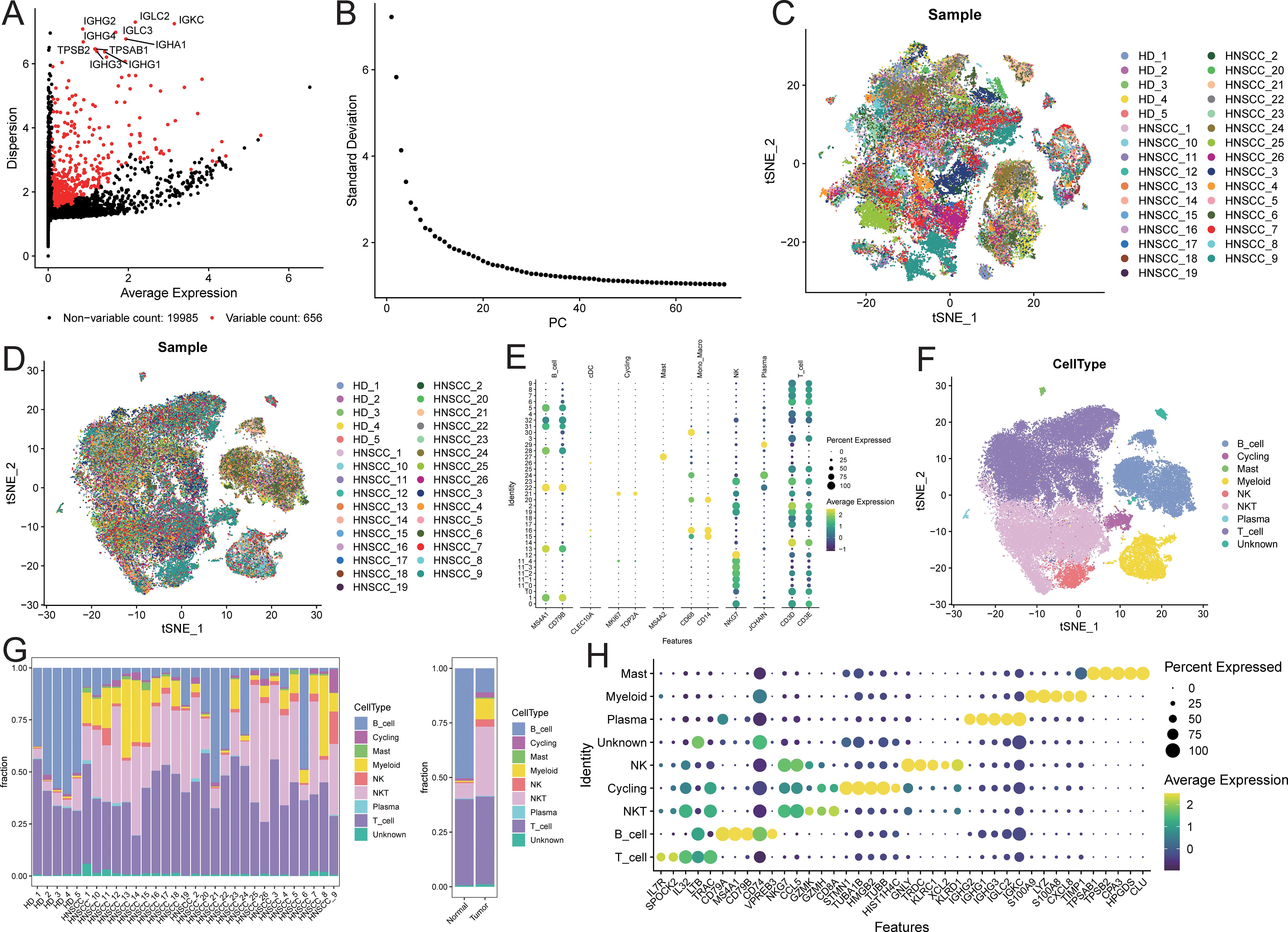 A set of eight graphs related to gene expression analysis: A) Dispersion versus average expression plot highlighting variable and non-variable counts. B) Plot of standard deviation against principal components (PC). C) and D) t-SNE plots showing sample distributions by identifiers. E) Dot plot of gene features by identity, illustrating percent expressed and average expression. F) t-SNE plot categorized by cell type. G) Stacked bar chart comparing cell type fractions in samples. H) Dot plot showing expression patterns across various gene features per cell type.