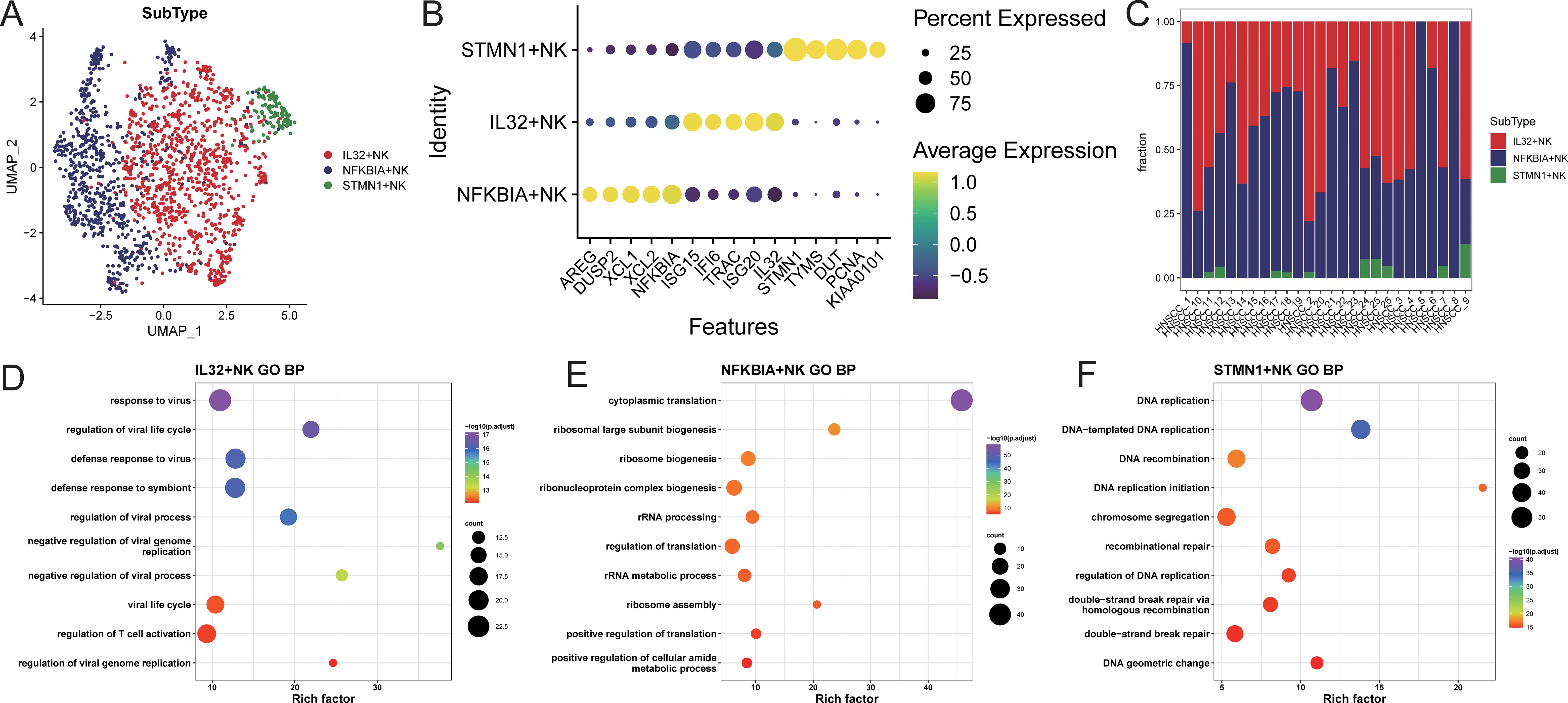 Panel A shows a UMAP plot with colored clusters representing different NK subtypes: IL32+NK in red, NFKBIA+NK in blue, and STMN1+NK in green. Panel B displays a dot plot illustrating expression levels and the percentage of expressed features across the subtypes. Panel C offers a stacked bar chart indicating the subtype composition across samples. Panels D, E, and F are bubble charts illustrating Gene Ontology Biological Process enrichment for IL32+NK, NFKBIA+NK, and STMN1+NK, respectively, with varying bubble sizes and colors signifying rich factor, count, and statistical significance.