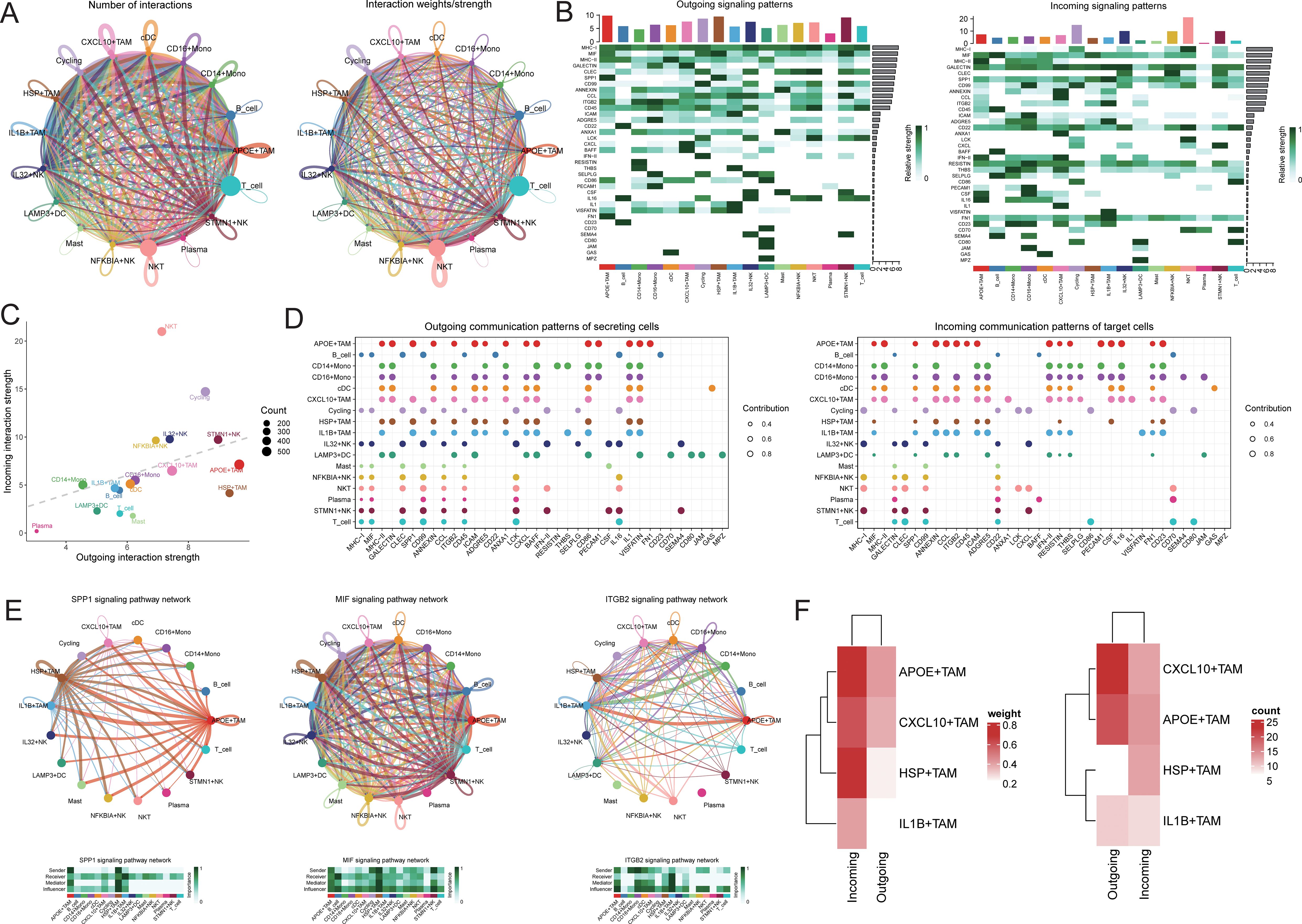 Complex data visualization with multiple panels showing cellular interactions in various formats. Panel A displays circular network graphs comparing number and strength of interactions between cell types. Panel B includes heatmaps illustrating outgoing and incoming signaling patterns. Panel C is a scatter plot of interaction strengths, with dot sizes representing counts. Panel D features bubble charts comparing communication patterns of secreting and target cells, with bubble sizes indicating contribution levels. Panel E showcases signaling pathway networks with circular graphs highlighting different pathways. Panel F presents heatmaps showing incoming and outgoing interaction weights.