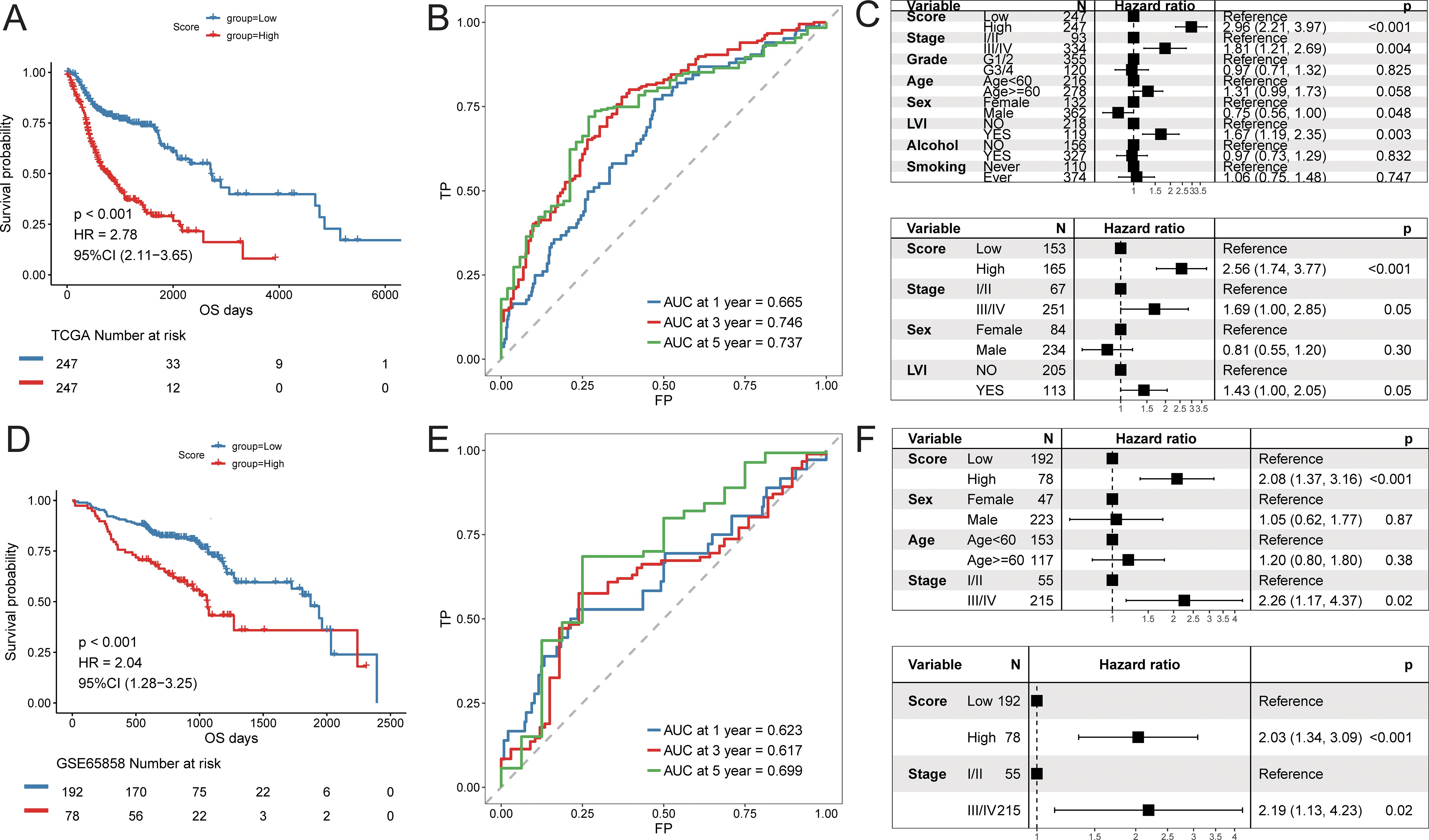 The composite image consists of six panels depicting medical data analyses. Panel A shows a Kaplan-Meier survival curve comparing high and low-score groups with a hazard ratio of 2.78. Panel B presents a ROC curve with AUC values for one, three, and five years. Panel C is a forest plot illustrating hazard ratios for variables like stage, sex, and lifestyle factors. Panel D is another Kaplan-Meier curve for a different dataset with a hazard ratio of 2.04. Panel E displays a similar ROC curve. Panel F is a forest plot for a separate analysis with variables like score and stage.