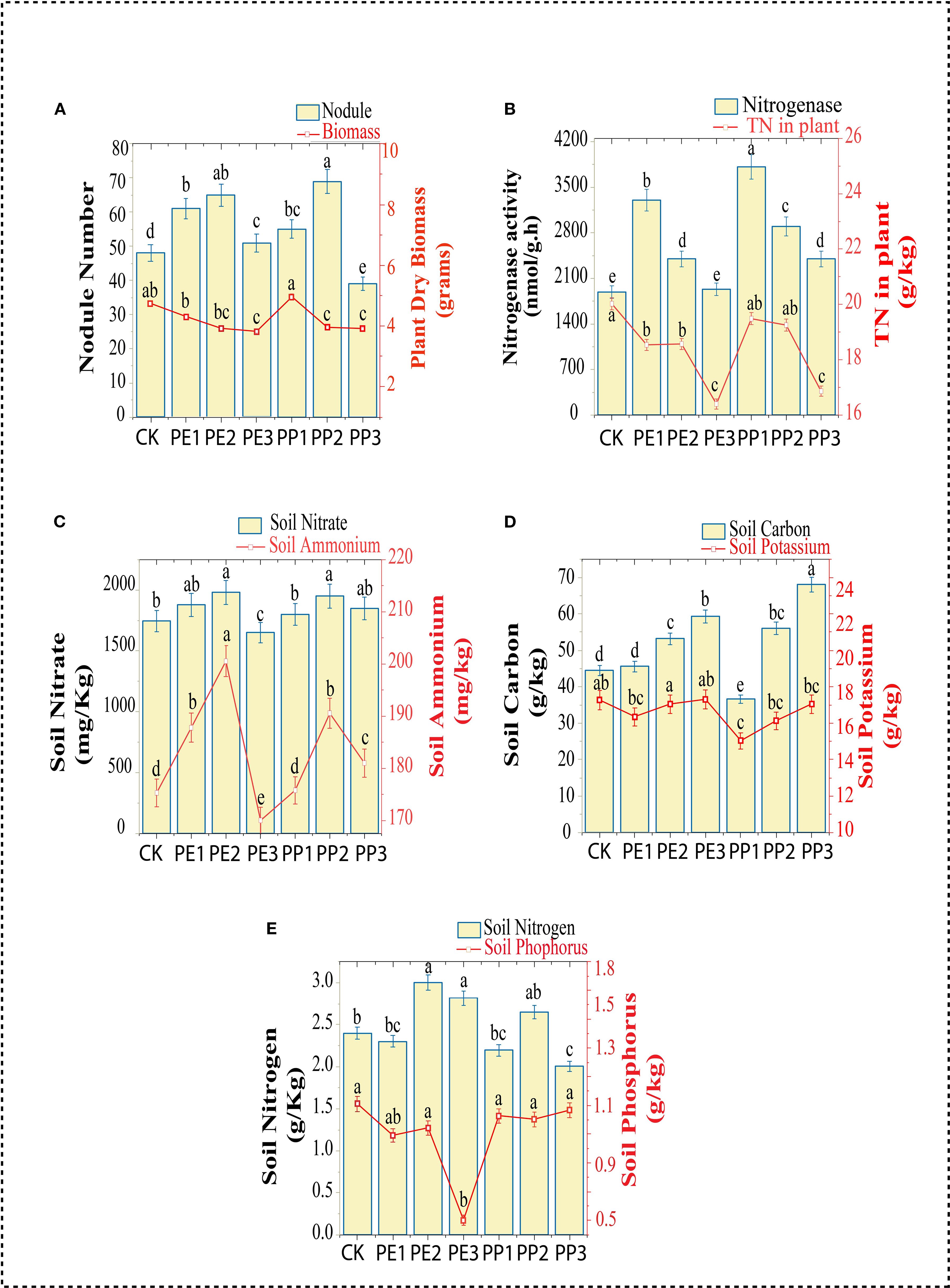 Grouped bar charts showing effects of soil treatments on plant and soil parameters across six sets (CK, PE1-3, PP1-3). Panel A displays nodule number and plant dry biomass, with nodule numbers highest in PE3 and lowest in PP2. Panel B shows nitrogenase activity and total nitrogen in plants, peaking in PE2. Panel C illustrates soil nitrate and ammonium levels; nitrate peaks in PE3. Panel D presents soil carbon and potassium content, with highest carbon in PE3. Bottom panel depicts soil nitrogen and phosphorus, with highest nitrogen in PE3. Error bars indicate variability.