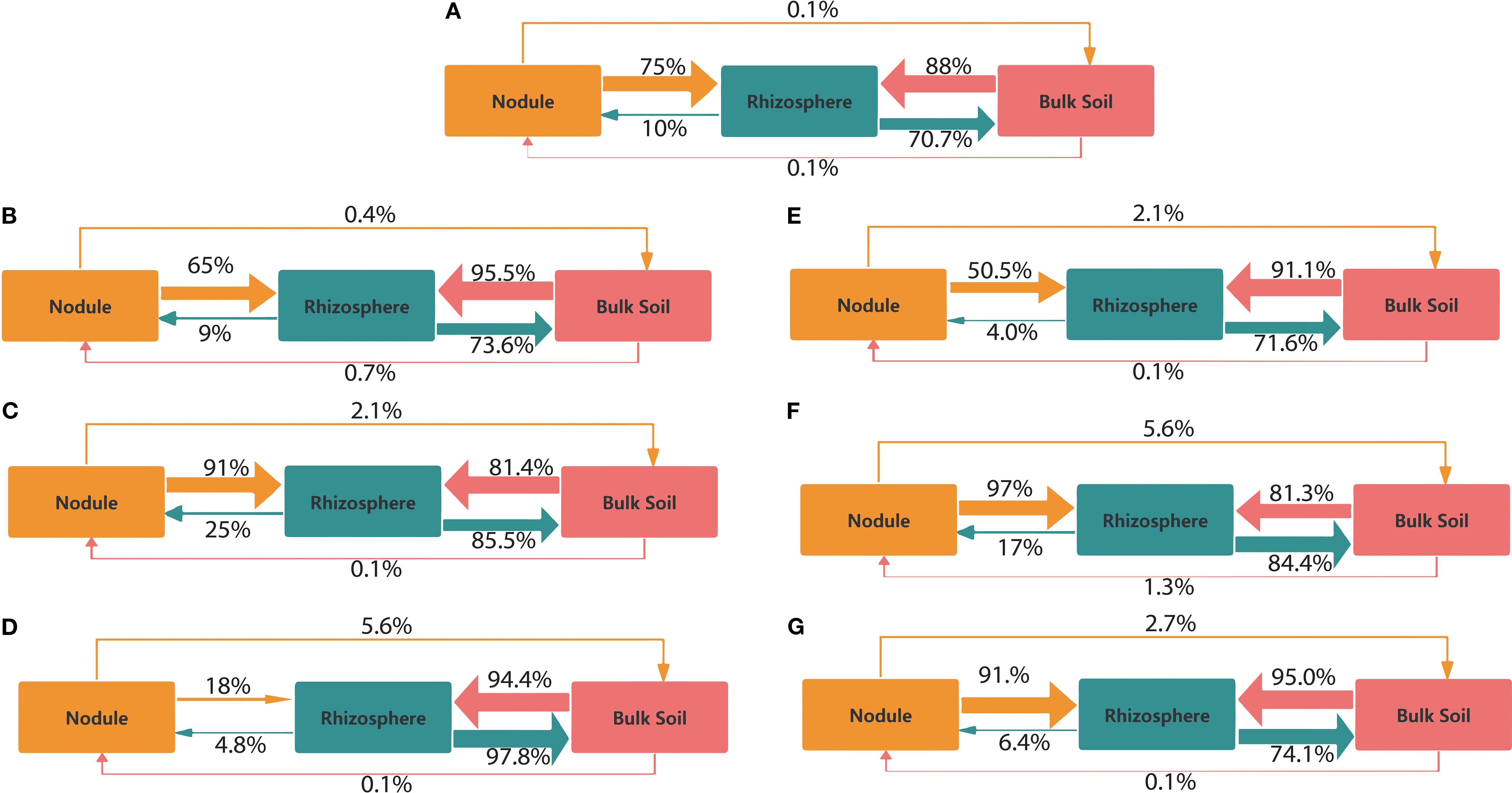 Diagram illustrating microbial interactions between nodule, rhizosphere, and bulk soil. Each panel (A-G) shows directional arrows with percentages indicating flow and interaction rates. Various flows are presented: nodule to rhizosphere and bulk soil, rhizosphere to bulk soil, and reverse directions with different percentage values in each scenario.