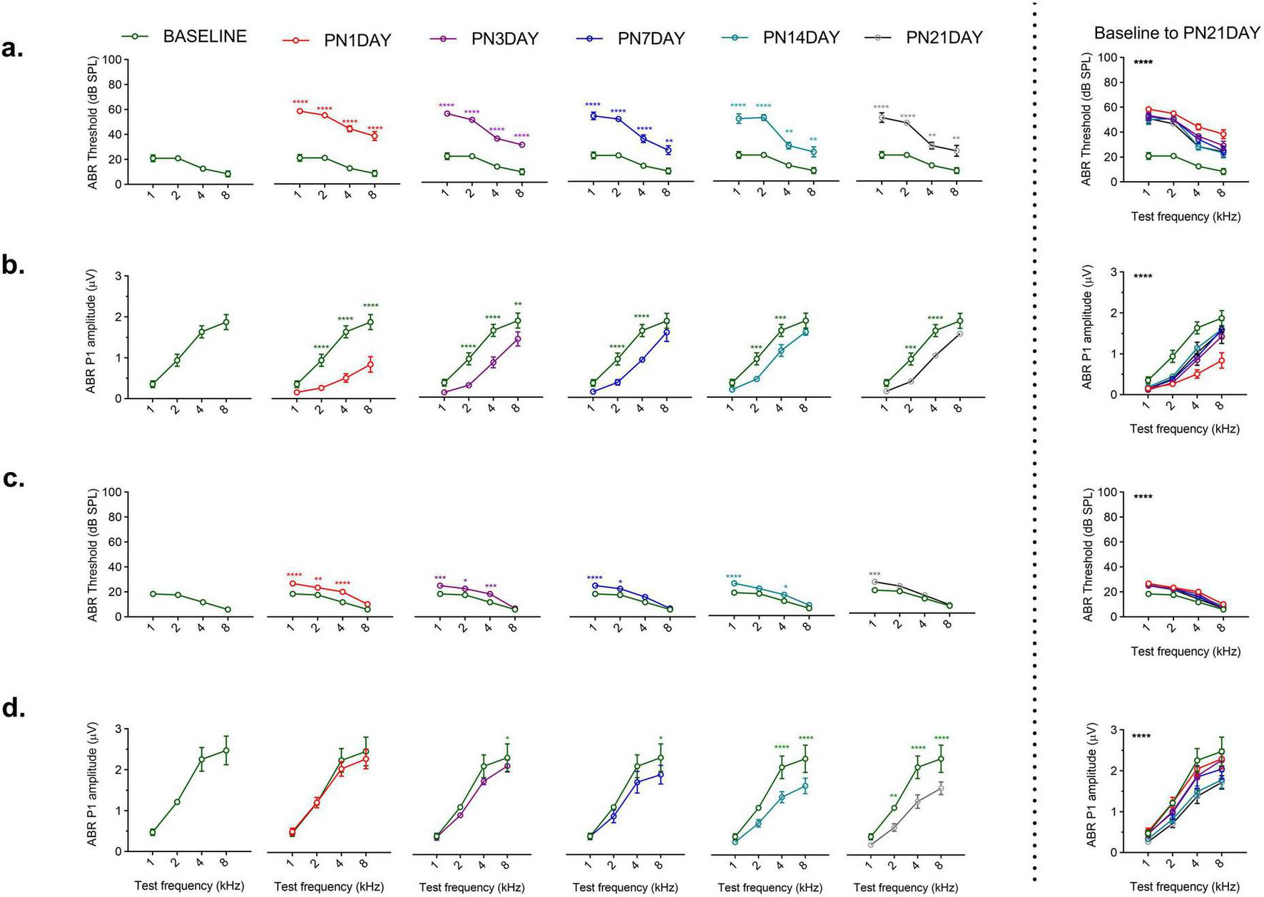 Graphs showing auditory brainstem response (ABR) measurements over time, divided into panels a through d. Panel a and c display ABR thresholds in decibels sound pressure level (dB SPL). Panels b and d show ABR wave I amplitude in microvolts (µV). The graphs are measured across various test frequencies (kilohertz) from baseline to postnatal days one, three, seven, fourteen, and twenty-one. The rightmost column summarizes changes from baseline to postnatal day twenty-one, indicating significant differences across frequencies using asterisks for statistical significance.