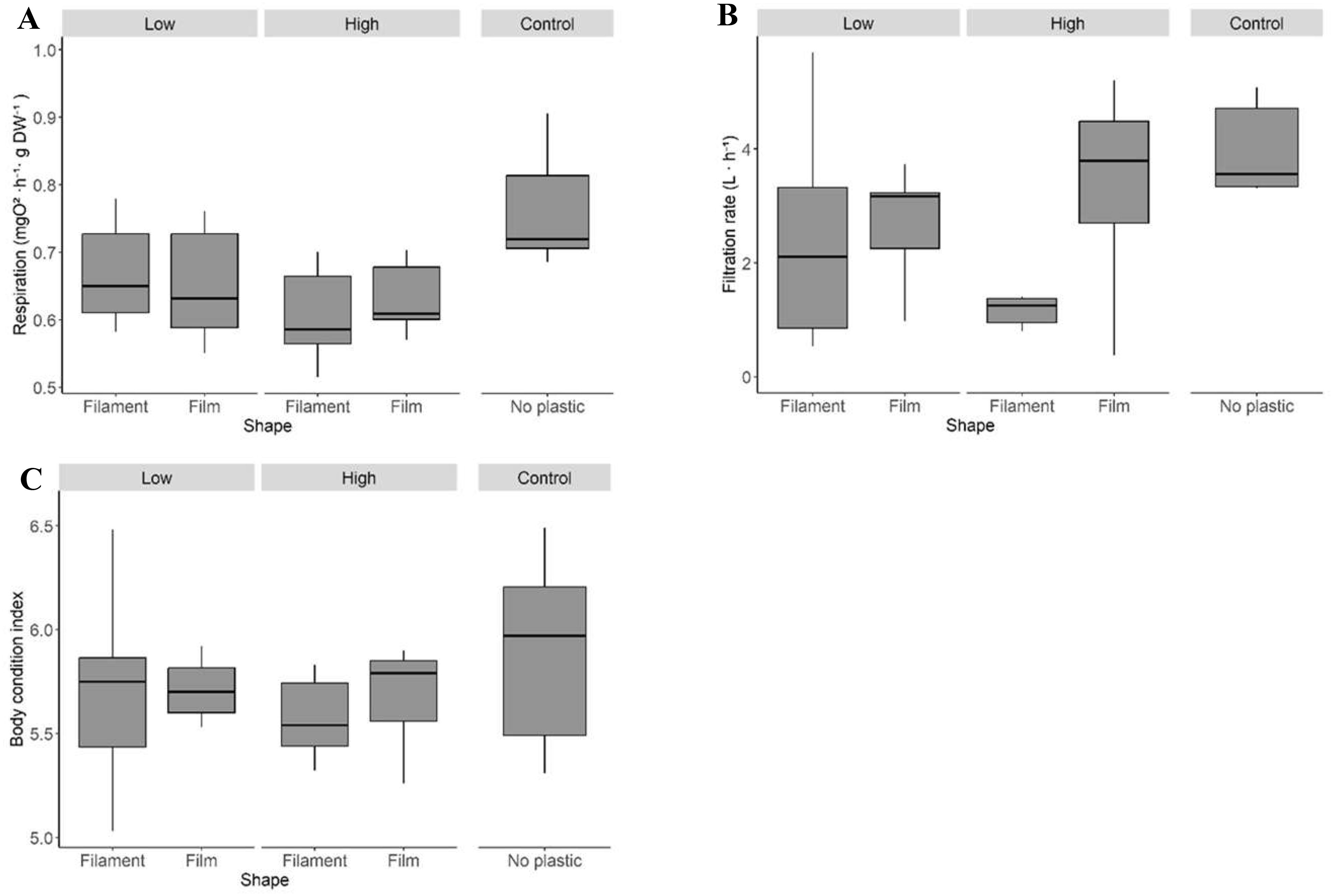 Box plots showing the effects of different plastic shapes on three parameters. Panel A: Respiration rates across filament and film shapes under low and high conditions, and a control without plastic. Panel B: Filtration rates under the same conditions. Panel C: Body condition index for filaments, films, and no plastic. Control groups show higher medians compared to plastic treatments.