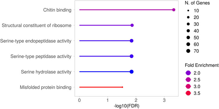 A dot plot showing six categories of molecular function: chitin binding, structural constituent of ribosome, serine-type endopeptidase activity, serine-type peptidase activity, serine hydrolase activity, and misfolded protein binding. The x-axis represents negative log10 of false discovery rate (FDR), ranging from 0 to 3. Dot sizes indicate the number of genes, from 10 to 70, while colors represent fold enrichment from 2.0 (purple) to 3.5 (red).