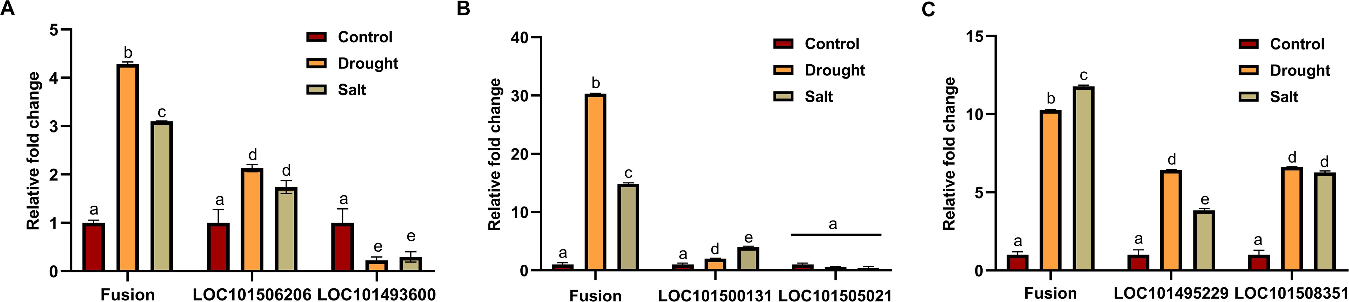 Bar charts labeled A, B, and C show relative fold change of fusion and its parental genes under control, drought, and salt conditions. A: Fusion and LOC101506206 precursor gene showed higher expression in drought and salt condition as compared to control; LOC101493600 gene showed lower expression in drought and salt conditions. B: Fusion expression very high in drought; LOC101500131 and LOC101505021 showed low to no change in expression in drought and salt conditions. C: LOC101495229, LOC101508351, and their fusion transcript showed high expression change under drought and salt response. Bars are color-coded: red for control, orange for drought, and yellow for salt. Error bars indicate variability.