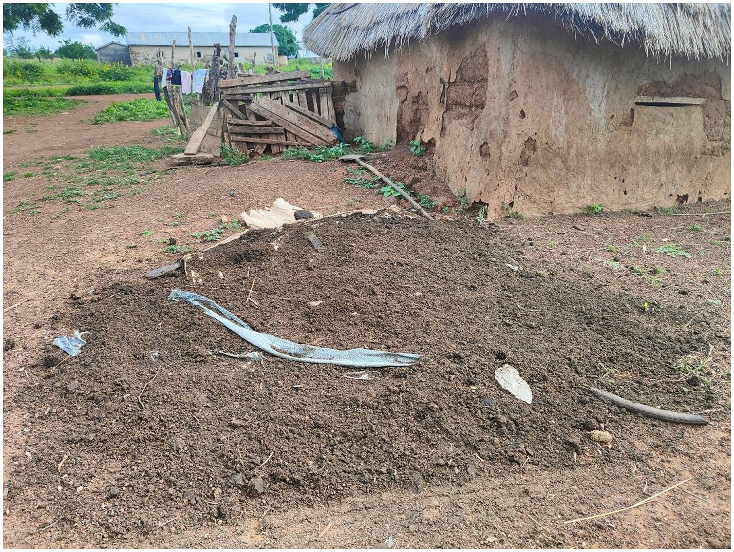 A thatched-roof building with mud walls stands in a rural setting. In the foreground, a heap of livestock manure. In the background, a wooden fence with clothes drying and a larger building are visible.