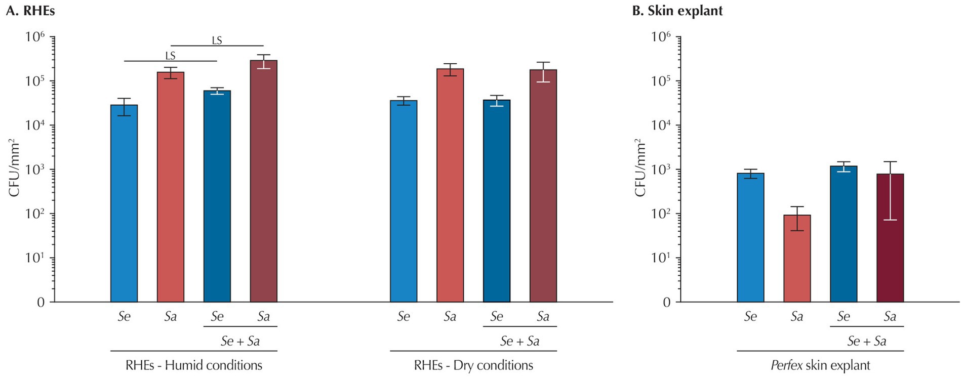Bar charts comparing colony-forming units (CFU) per square millimeter for RHEs and skin explants under different conditions. A: RHEs in humid and dry conditions; B: Skin explant. Both compare Se, Sa, and Se + Sa, with