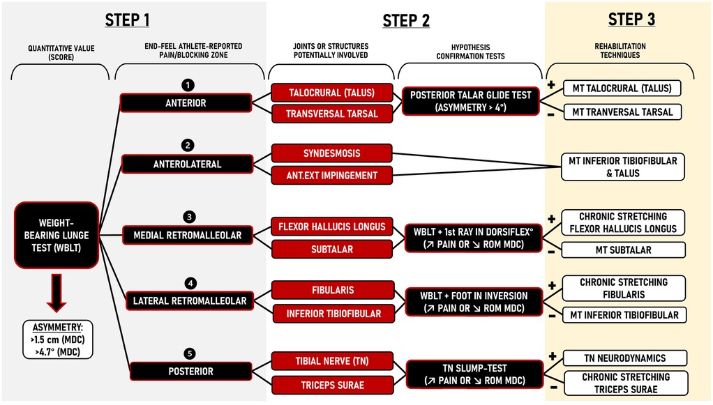 Flowchart detailing a three-step process for the Weight-Bearing Lunge Test (WBLT). Step 1 involves identifying quantitative value (score) and qualitative value with pain location: anterior, anterolateral, medial retromalleolar, lateral retromalleolar, and posterior. Step 2 links these areas to potential structures and joints that are known to have a role in ankle dorsiflexion range of motion restriction. Step 3 suggests individualized rehabilitation techniques such as manual therapy, chronic stretching and neurodynamics for the identified structures and joints. Asymmetry thresholds are noted: greater than 1.5 centimeters or greater than 4.7 degrees.