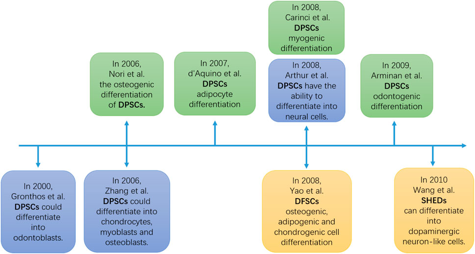 The timeline of research findings describing the differentiation potential of some DMSCs. Since 2000, many researchers have found that DPSCs have the differentiation potential of dentin cells, chondrocytes, myoblasts, osteoblasts, adipocytes and neurons. DFPCs have also been found to have the differentiation ability of osteogenic, adipogenic and chondrocytes. SHEDs have been found to differentiate into dopaminergic neuron like cells.